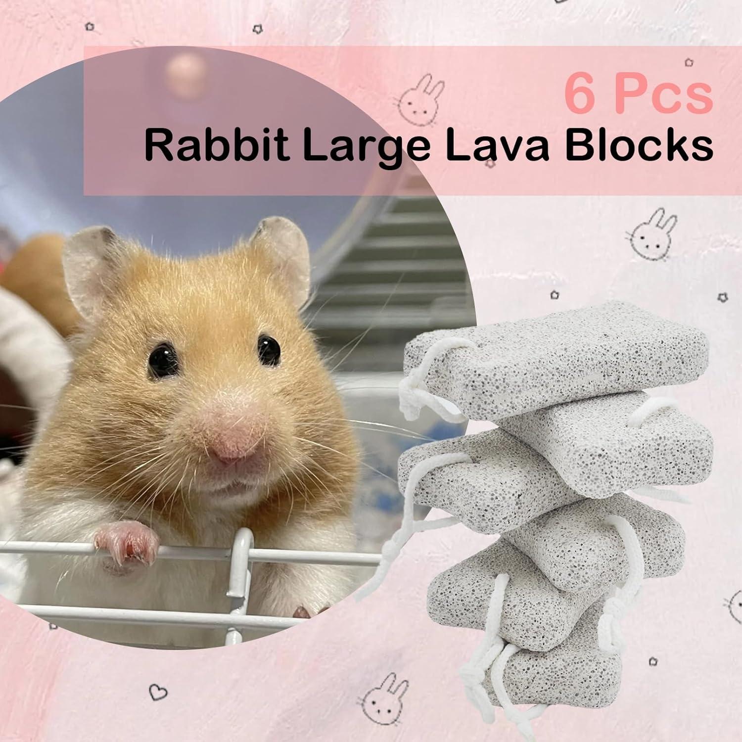 Bloques de Lava para Conejos PINVNBY - 6 Pcs, Salud Dental