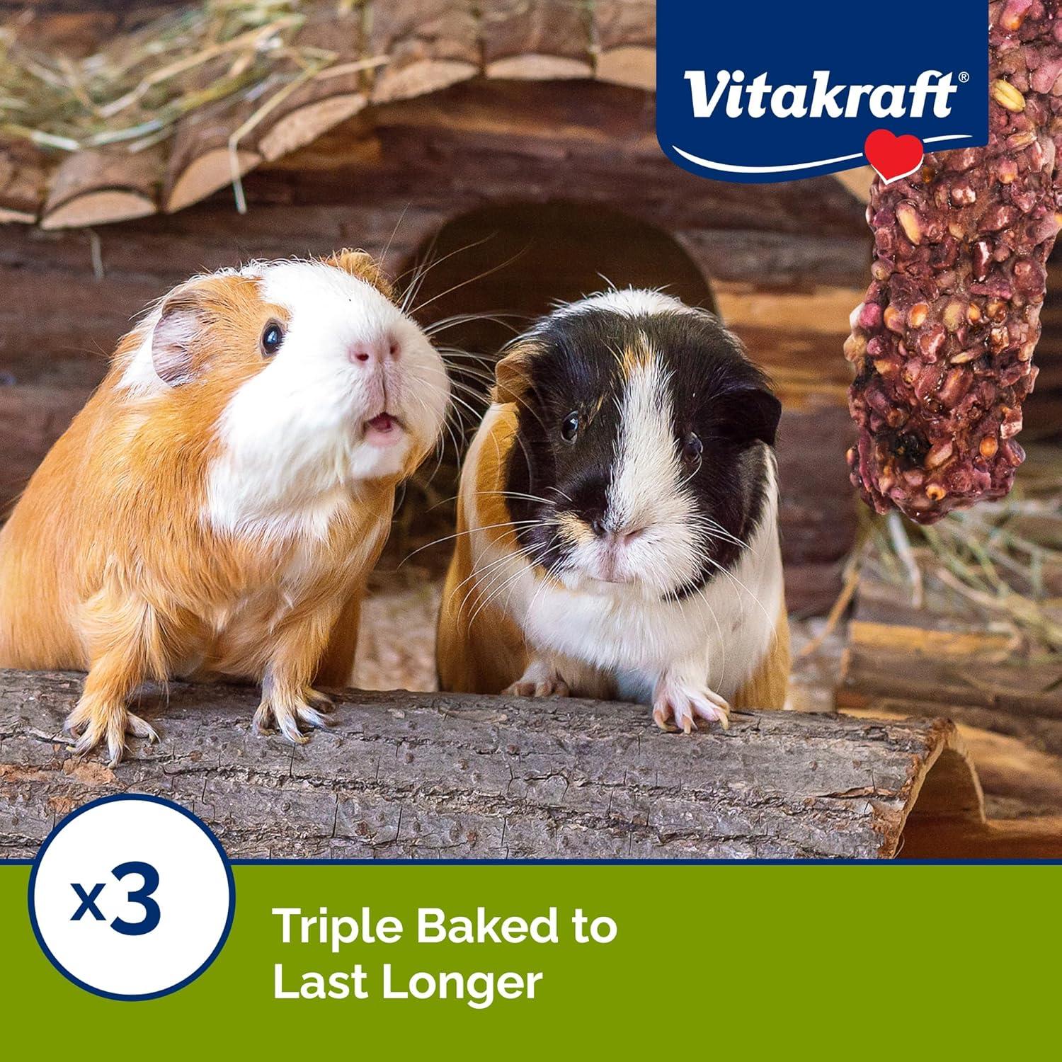 Vitakraft Crunch Sticks para Cobayas - Frutos Silvestres y Miel