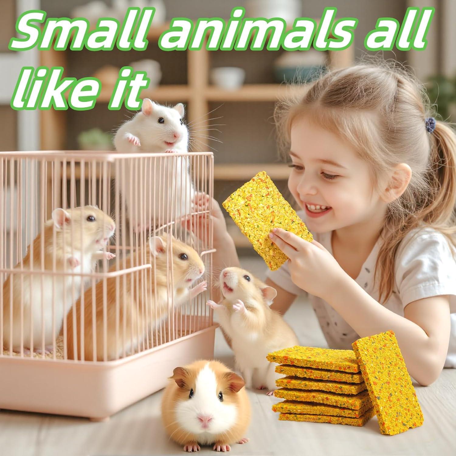 Galletas Crujientes para Conejos GREMBEB 10pcs Heno Timothy