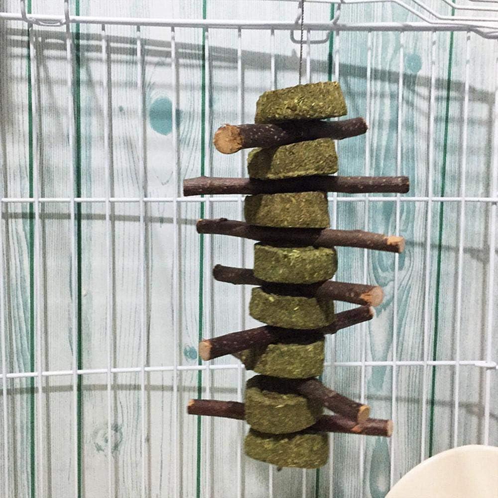 Juguetes de Masticar para Conejos PeSandy - Madera de Manzana y Heno Timothy