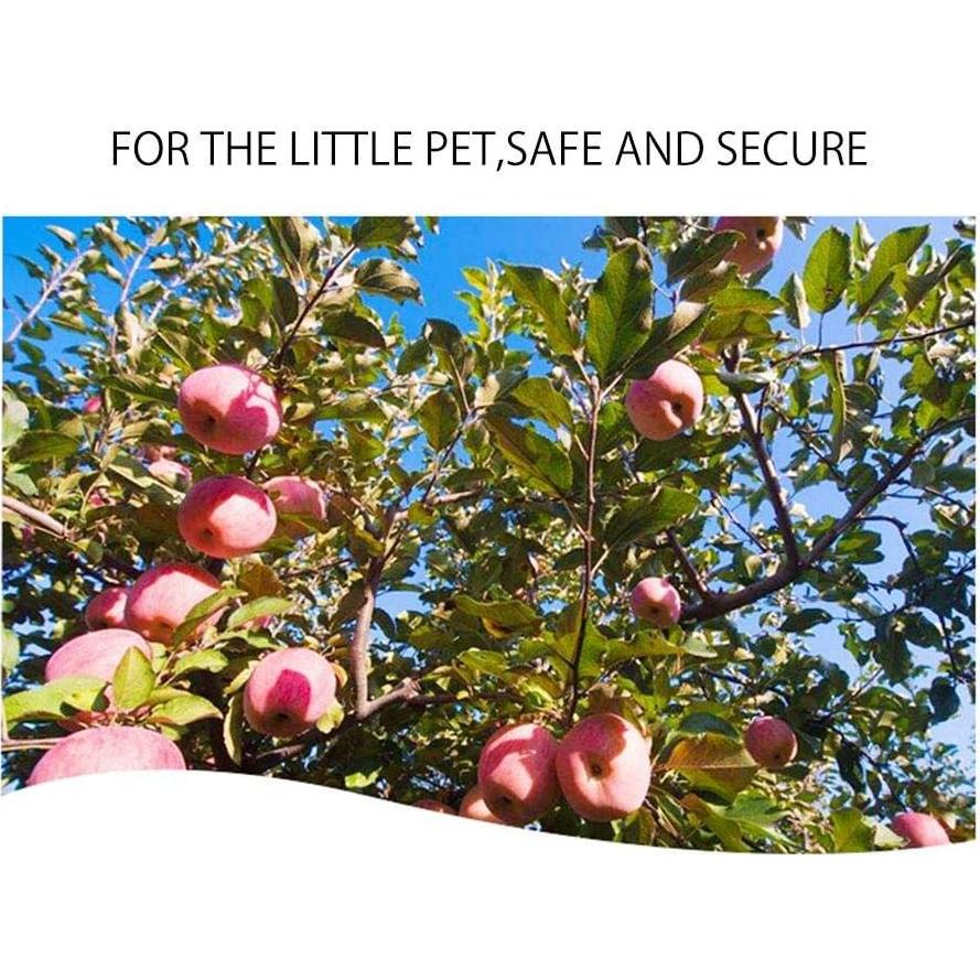 Juguetes de Masticar para Conejos PeSandy - Madera de Manzana y Heno Timothy