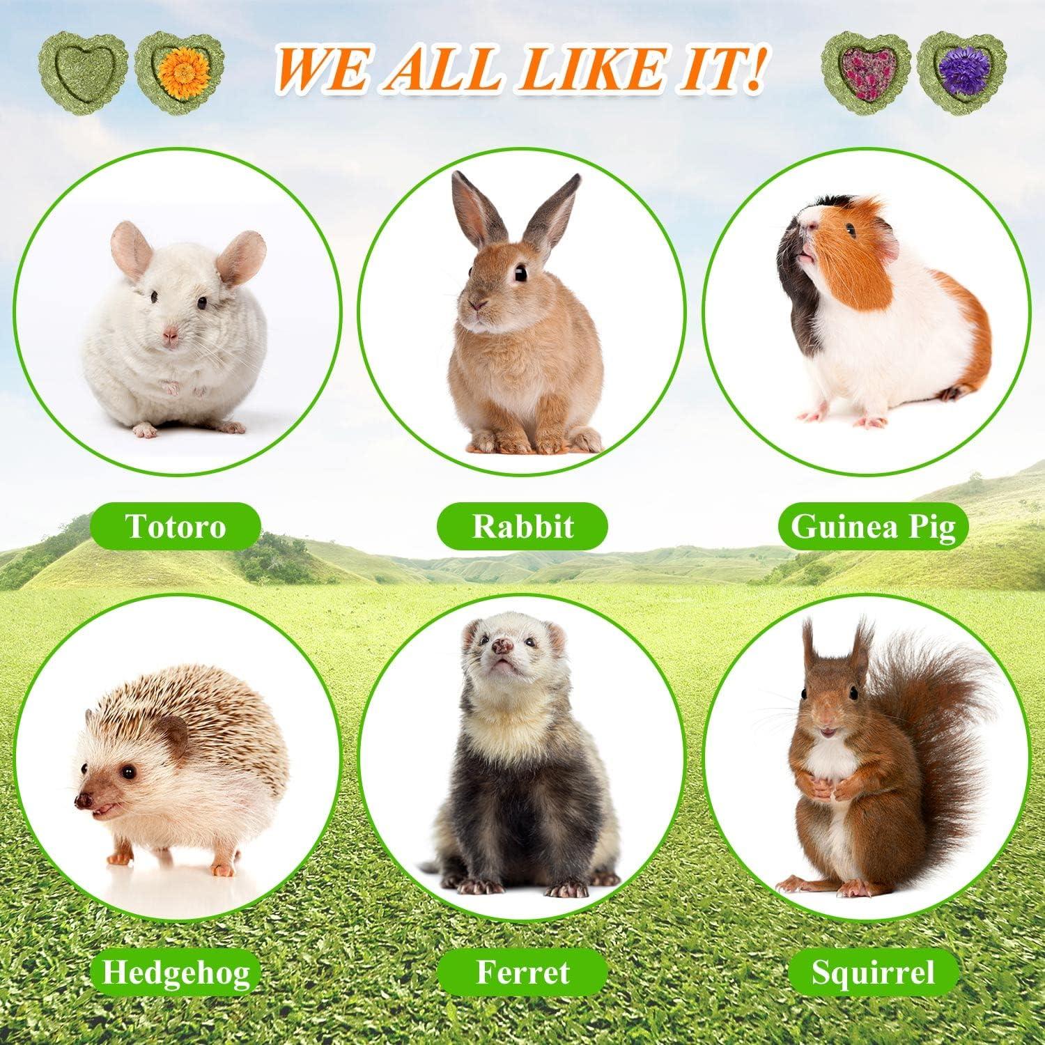 20 Juguetes Masticar Conejo SYWHXY - Heno Timothy Orgánico