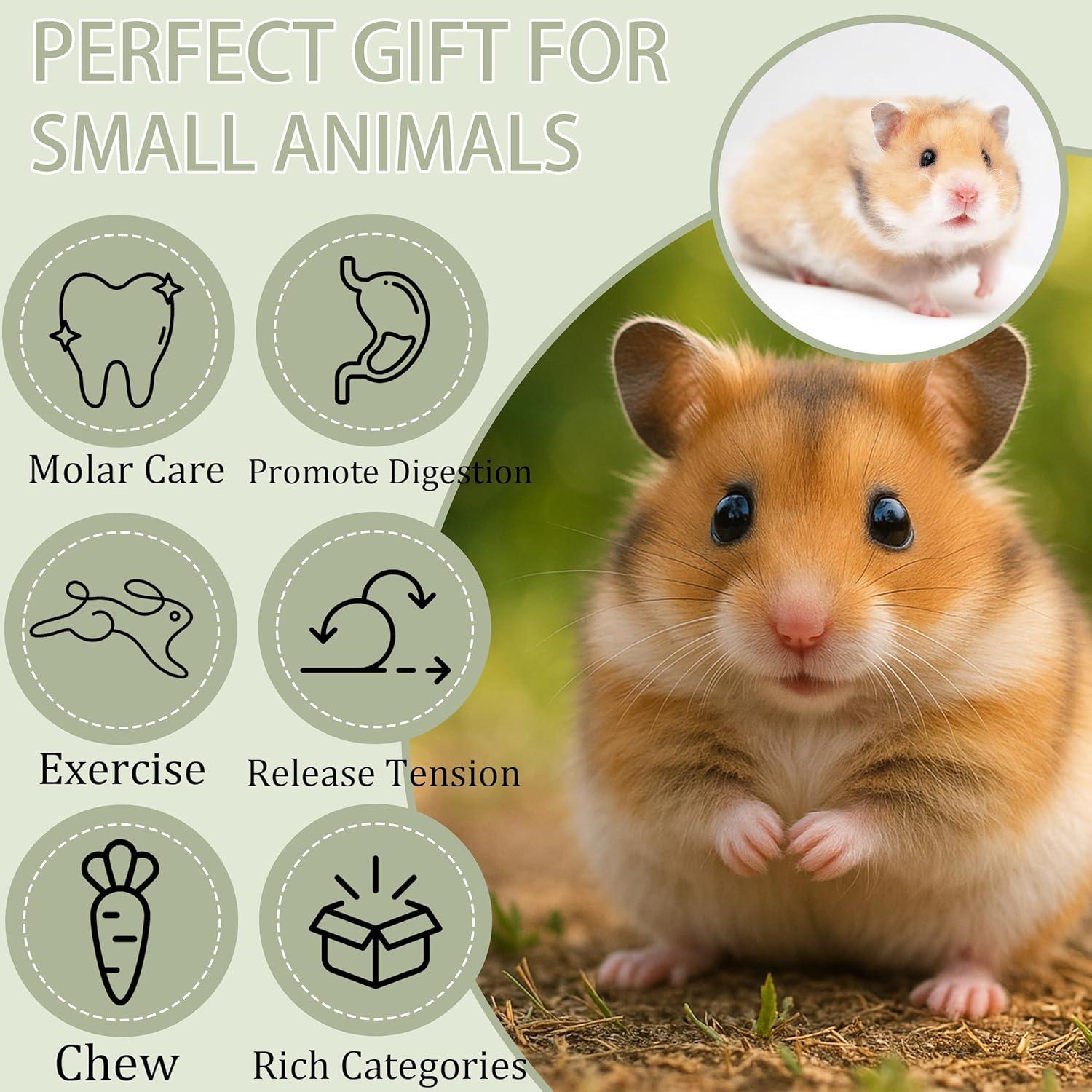 16 Piezas Juguetes Masticables de Madera Balsa para Mascotas