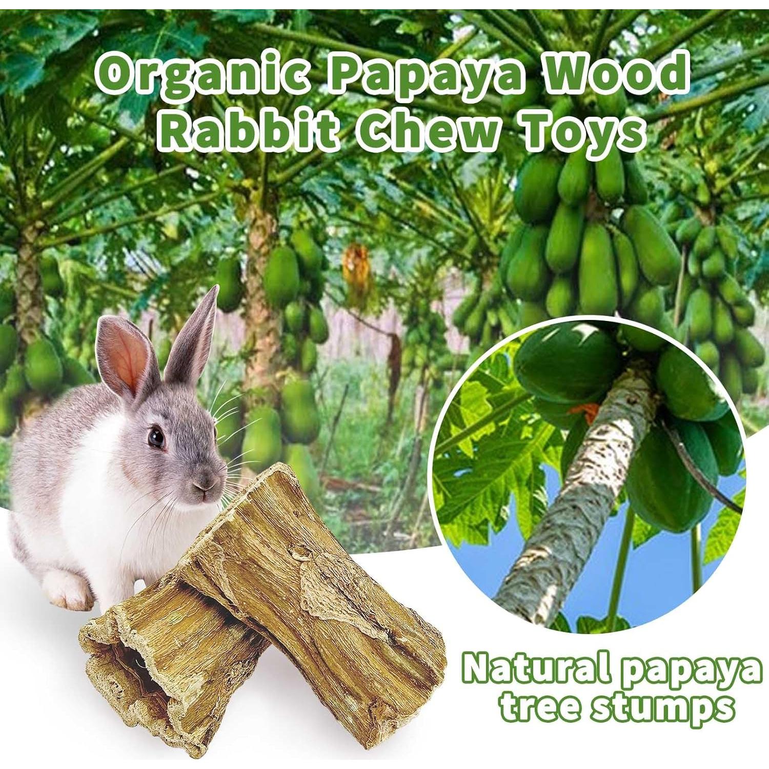 Juguetes de Masticar para Conejos Hamiledyi 2 Pcs Madera Orgánica