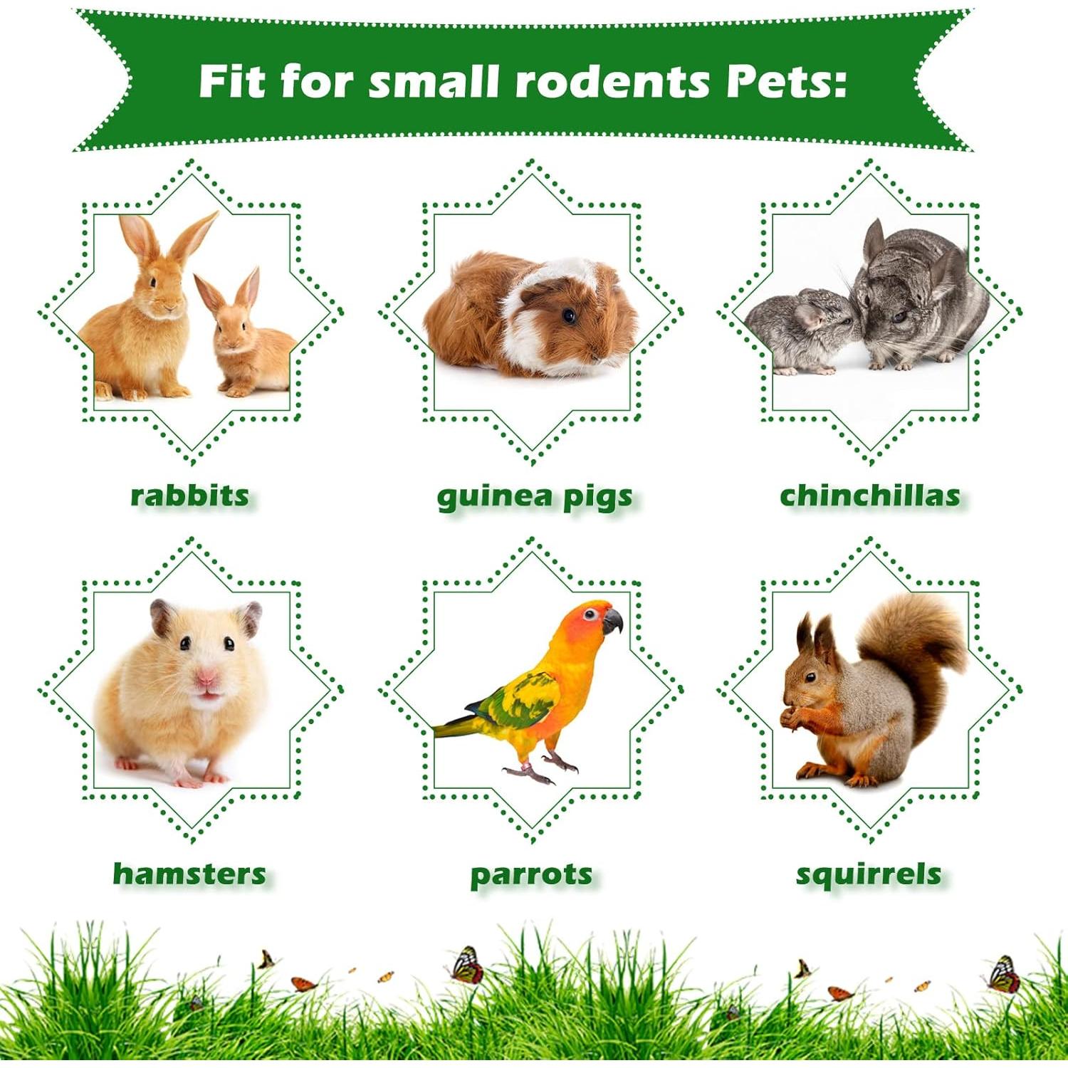 Juguetes de Masticar Permotary para Conejos - 3 Piezas Naturales