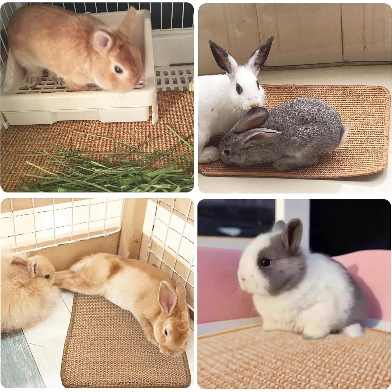 Alfombrilla de Rascado para Conejos Mooydee 40x30cm 2 Piezas