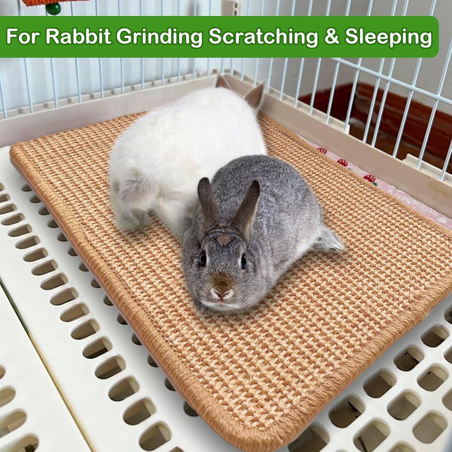 Alfombrilla de Rascado para Conejos Mooydee 40x30cm 2 Piezas