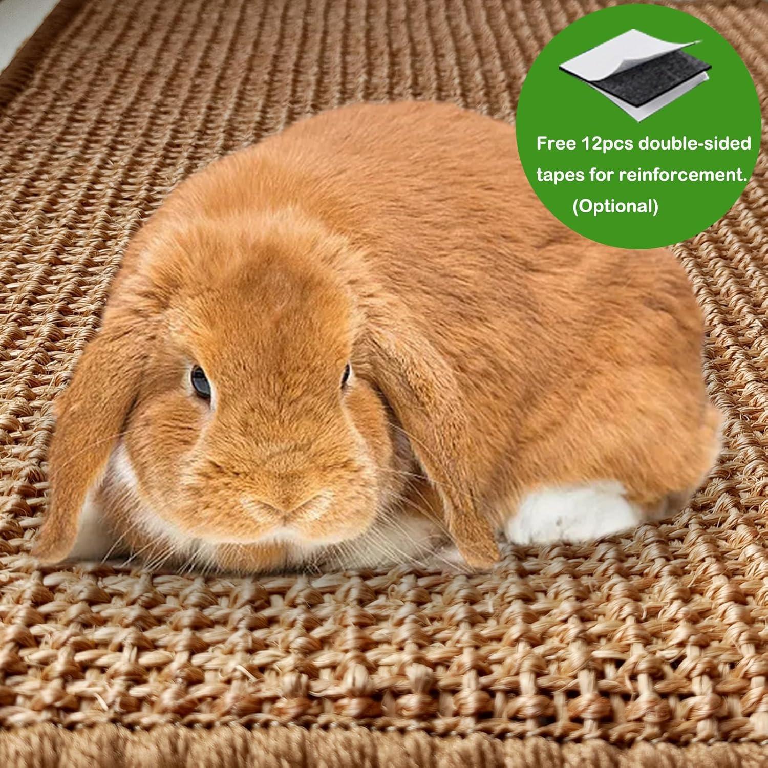 Alfombrilla de Rascado para Conejos Mooydee 40x30cm 2 Piezas