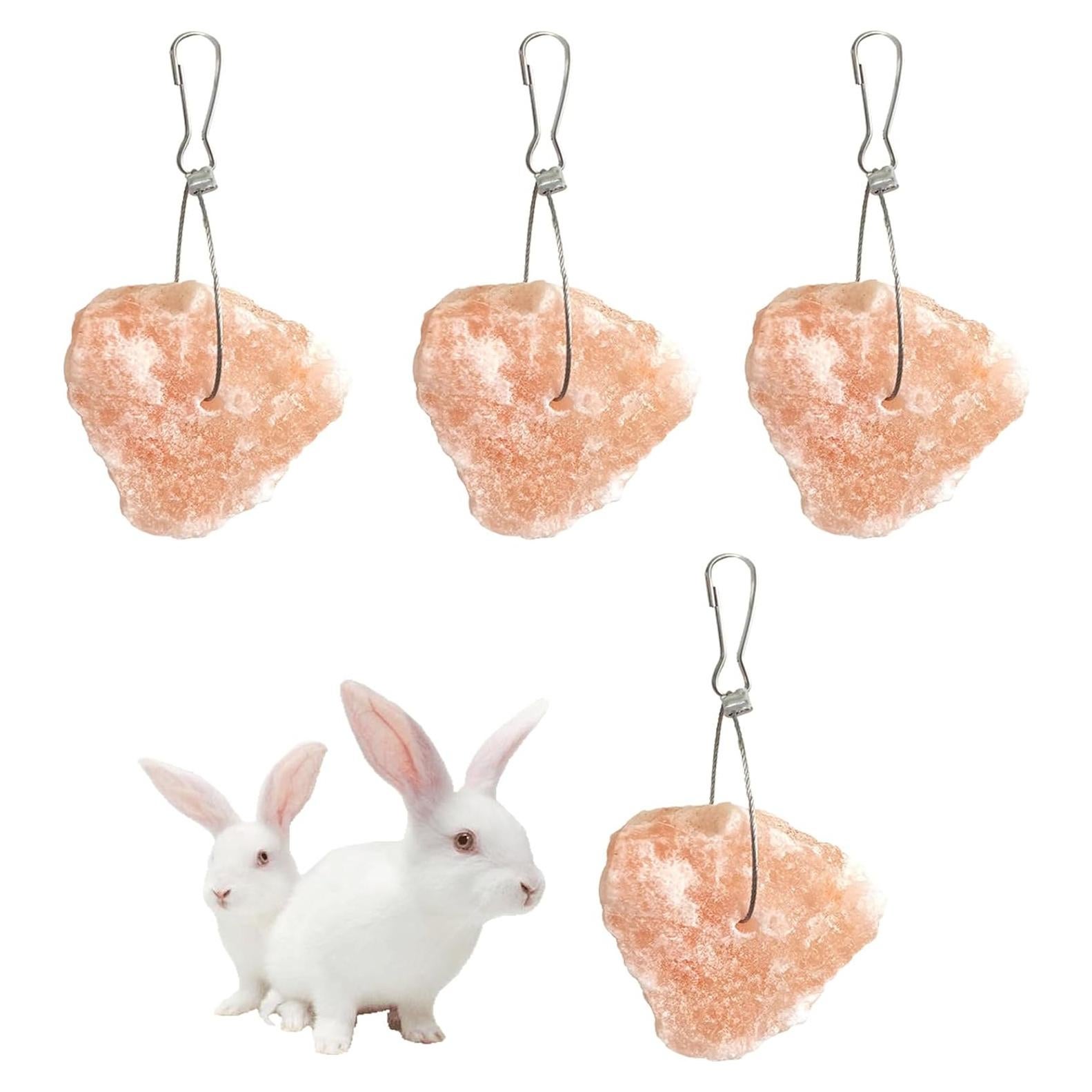 Bloques de Sal Himalayo para Conejos PINVNBY - 4 Piezas