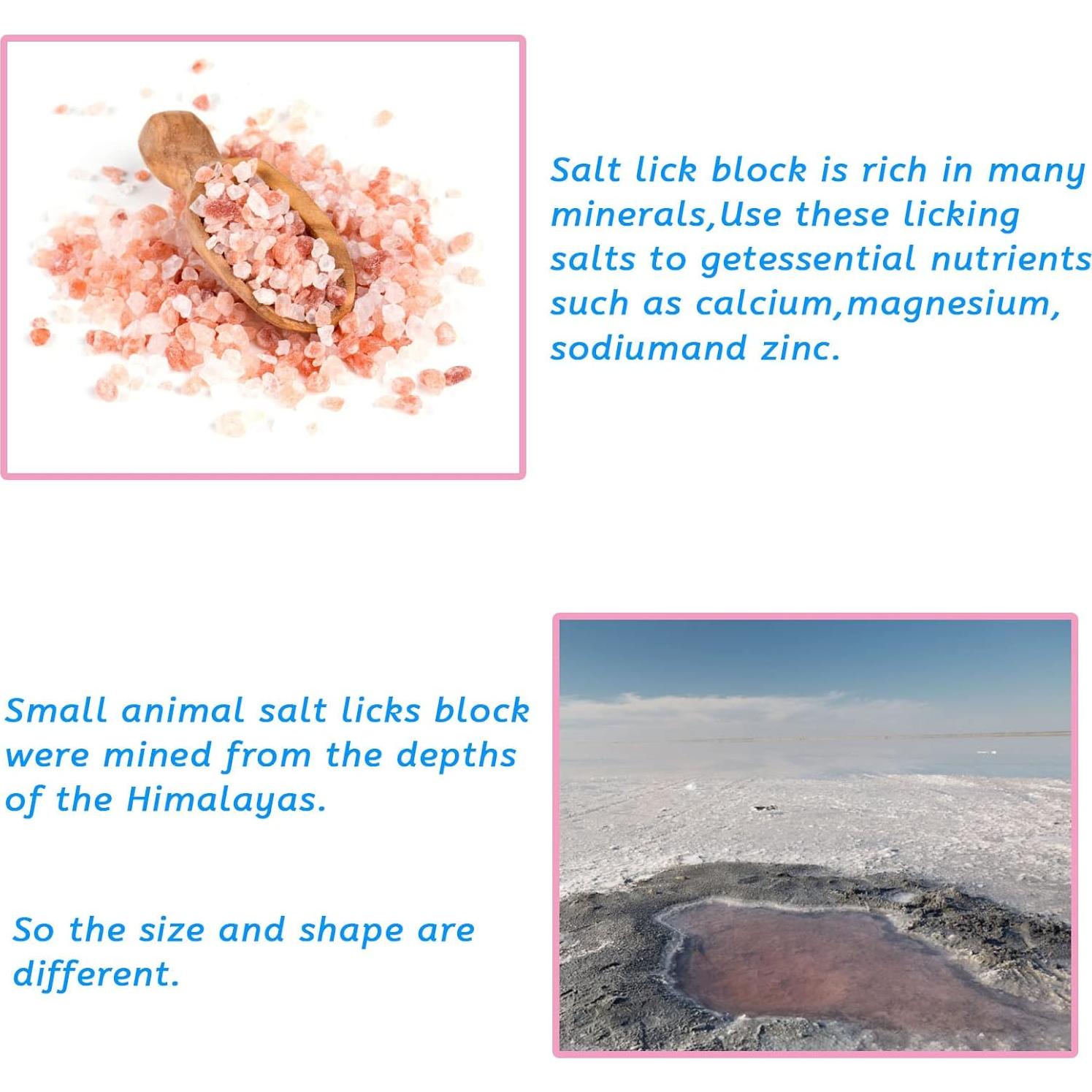 Bloques de Sal Himalayo para Conejos PINVNBY - 4 Piezas