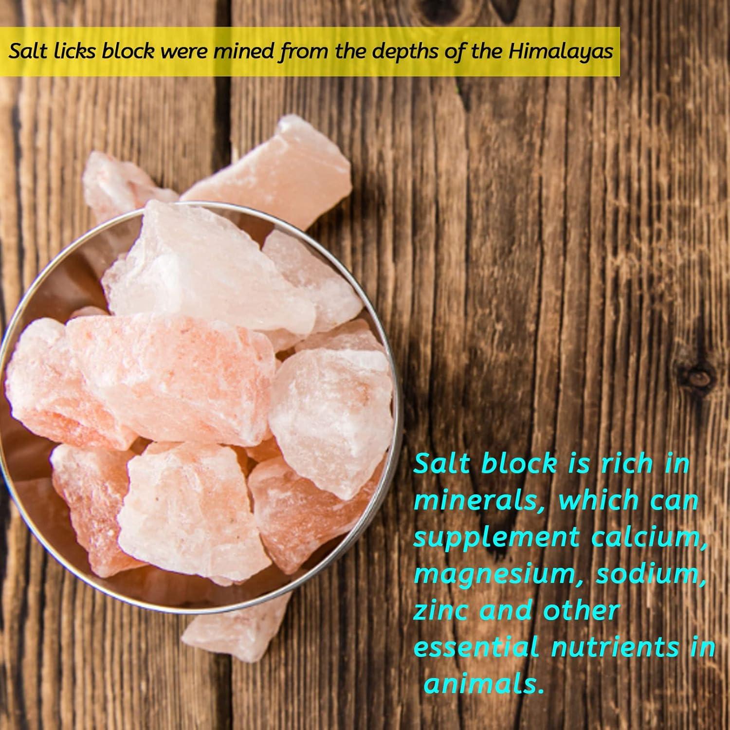 Bloques de Sal Himalayo para Conejos PINVNBY - 4 Piezas