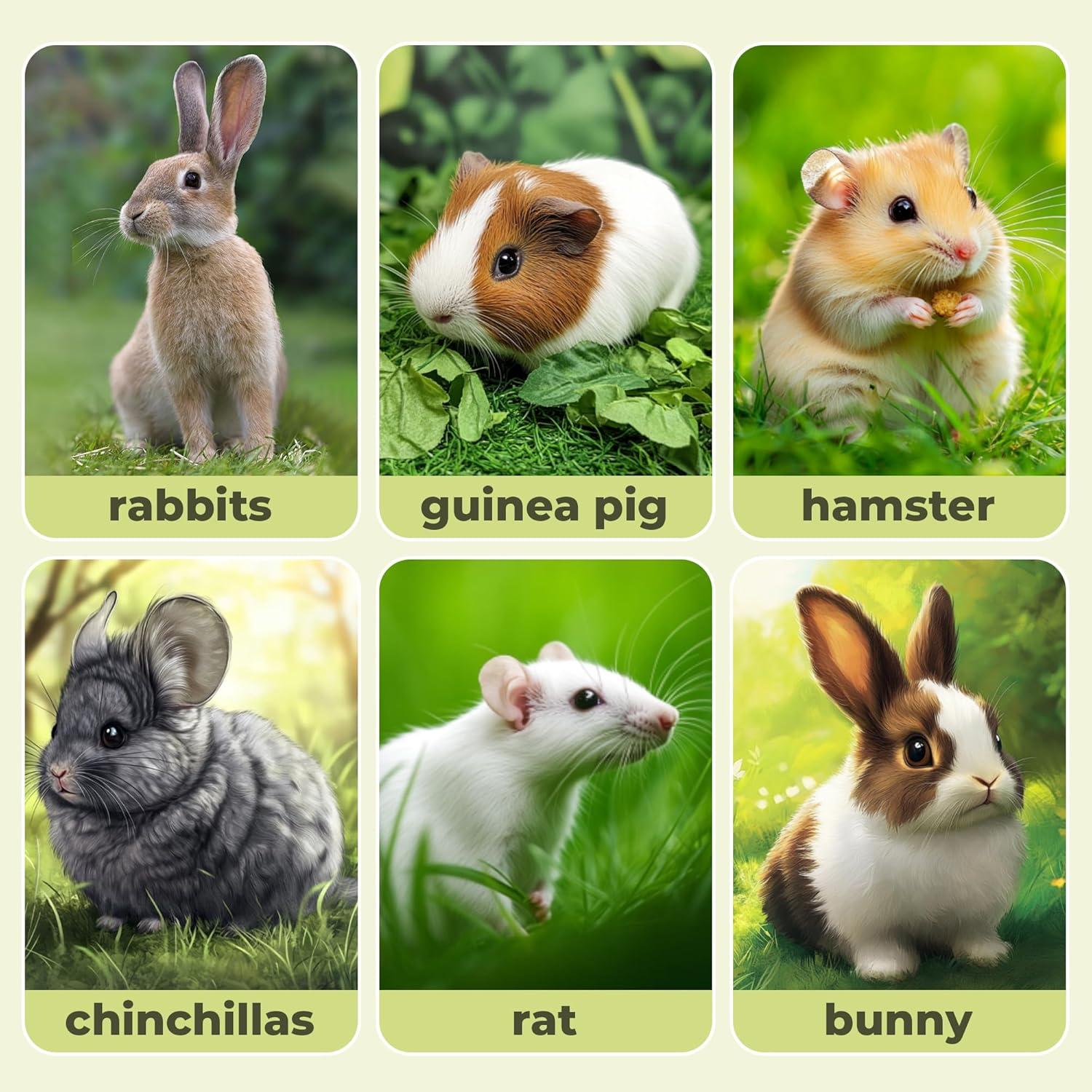 Juguetes de Madera Molar Natural Apesaipu 250g para Mascotas