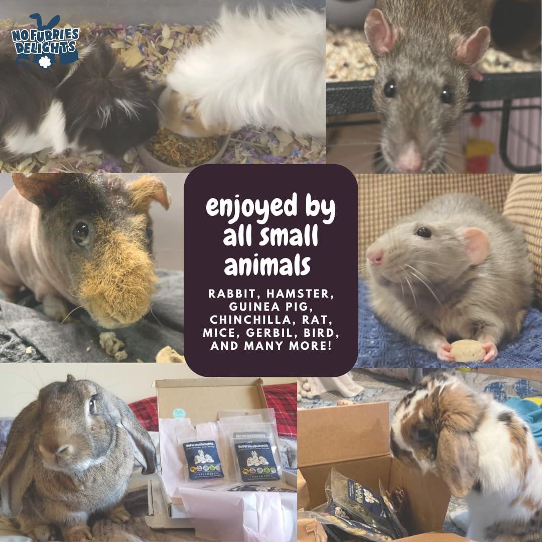 Mordedores de Madera Balsa Natural 12pcs para Mascotas