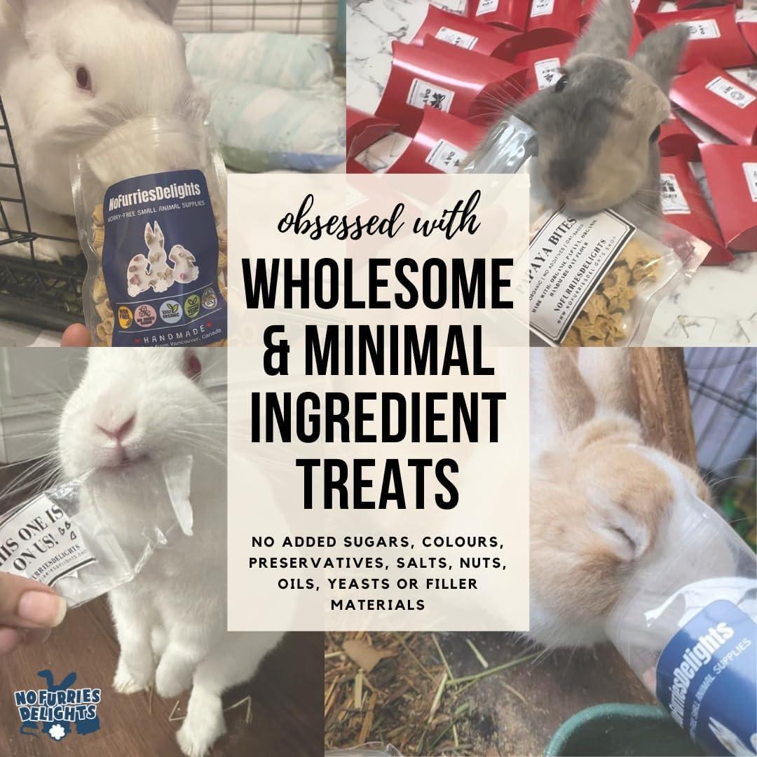 Mordedores de Madera Balsa Natural 12pcs para Mascotas