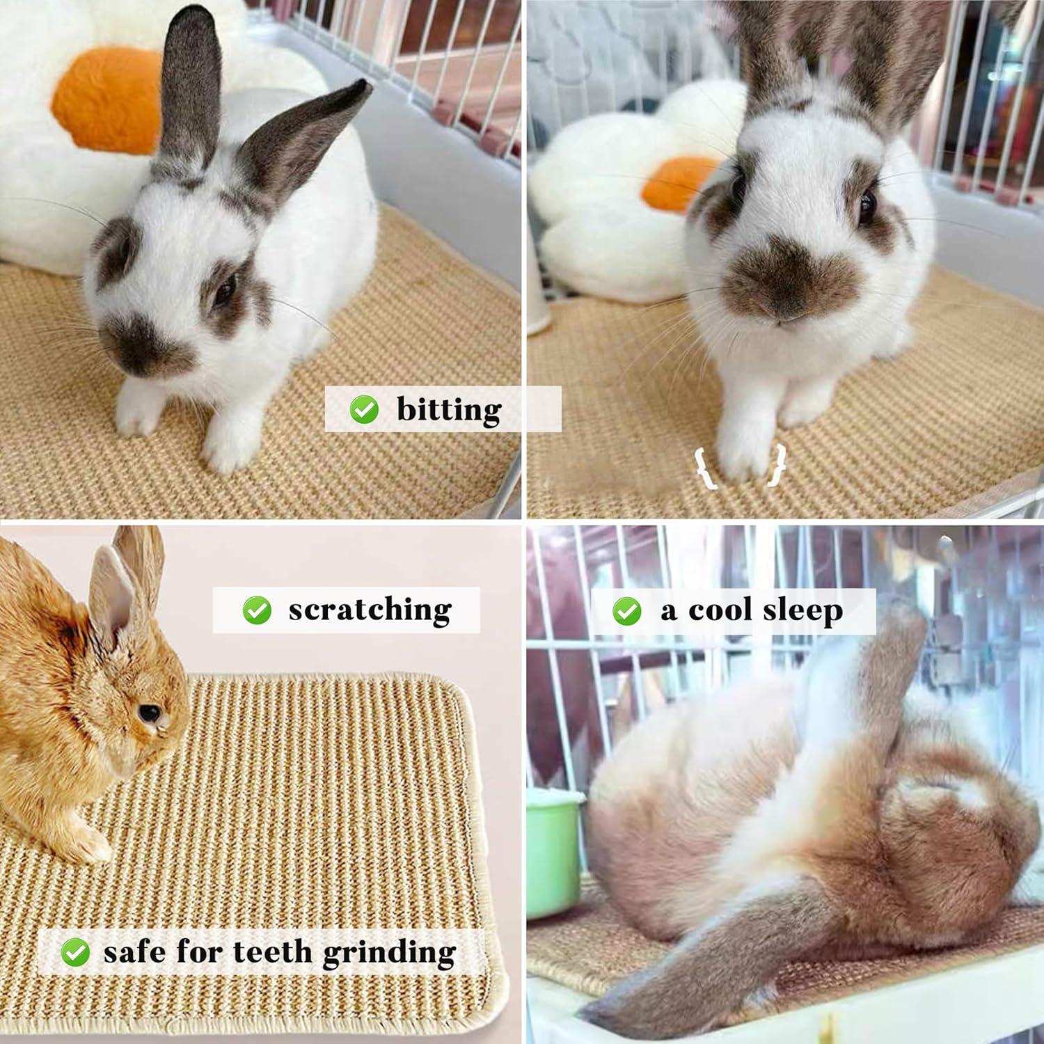 Almohadilla para Rascar Conejos Jevnd 40x30cm Sisal Natural