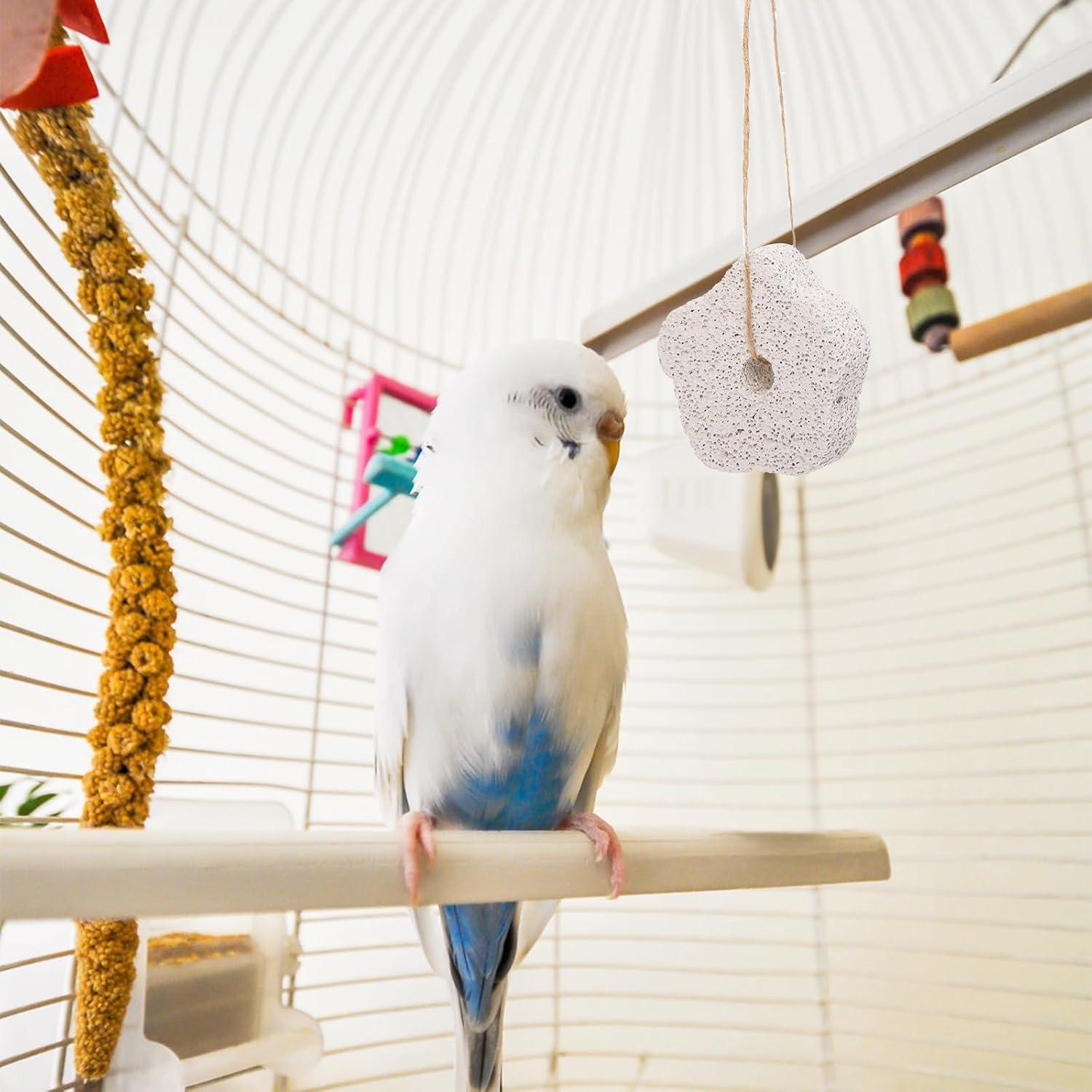 Bloques de Molienda DEAYOU 30 Piezas para Conejos y Roedores