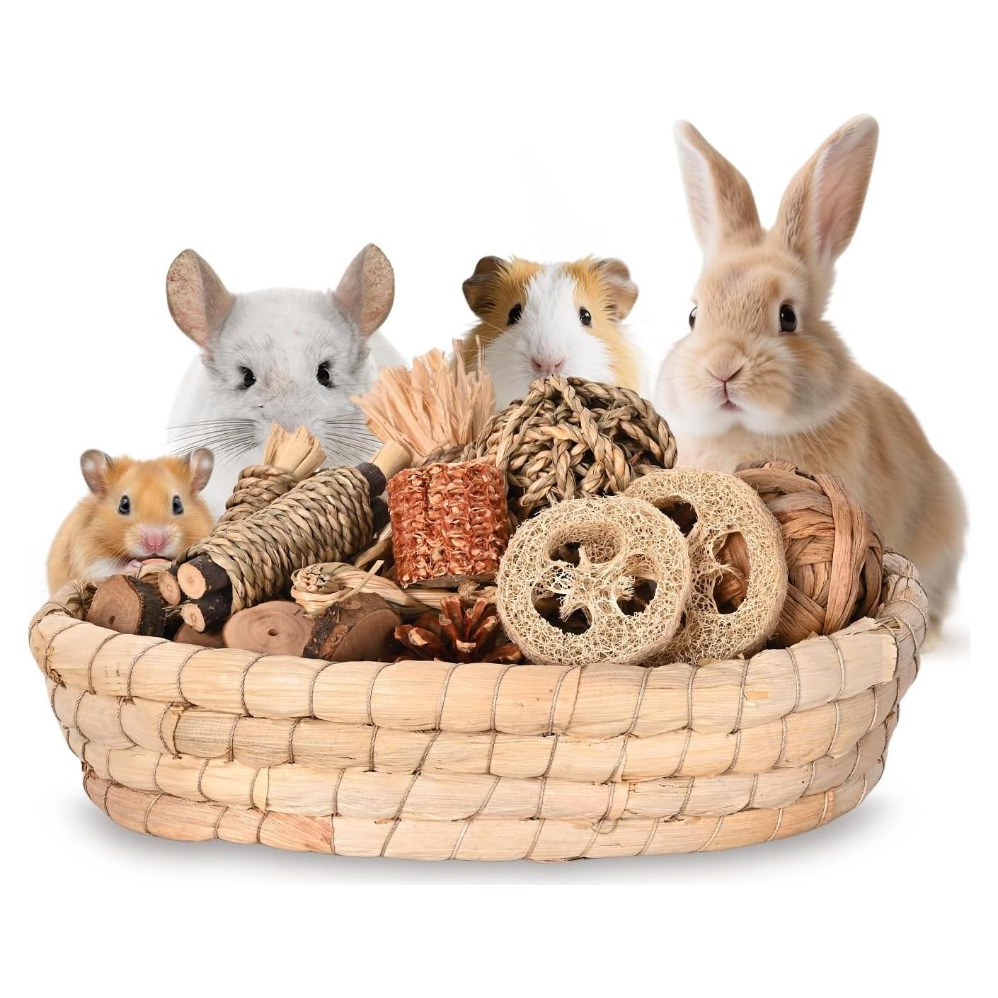 31 Juguetes Masticables Naturales para Conejos y Roedores