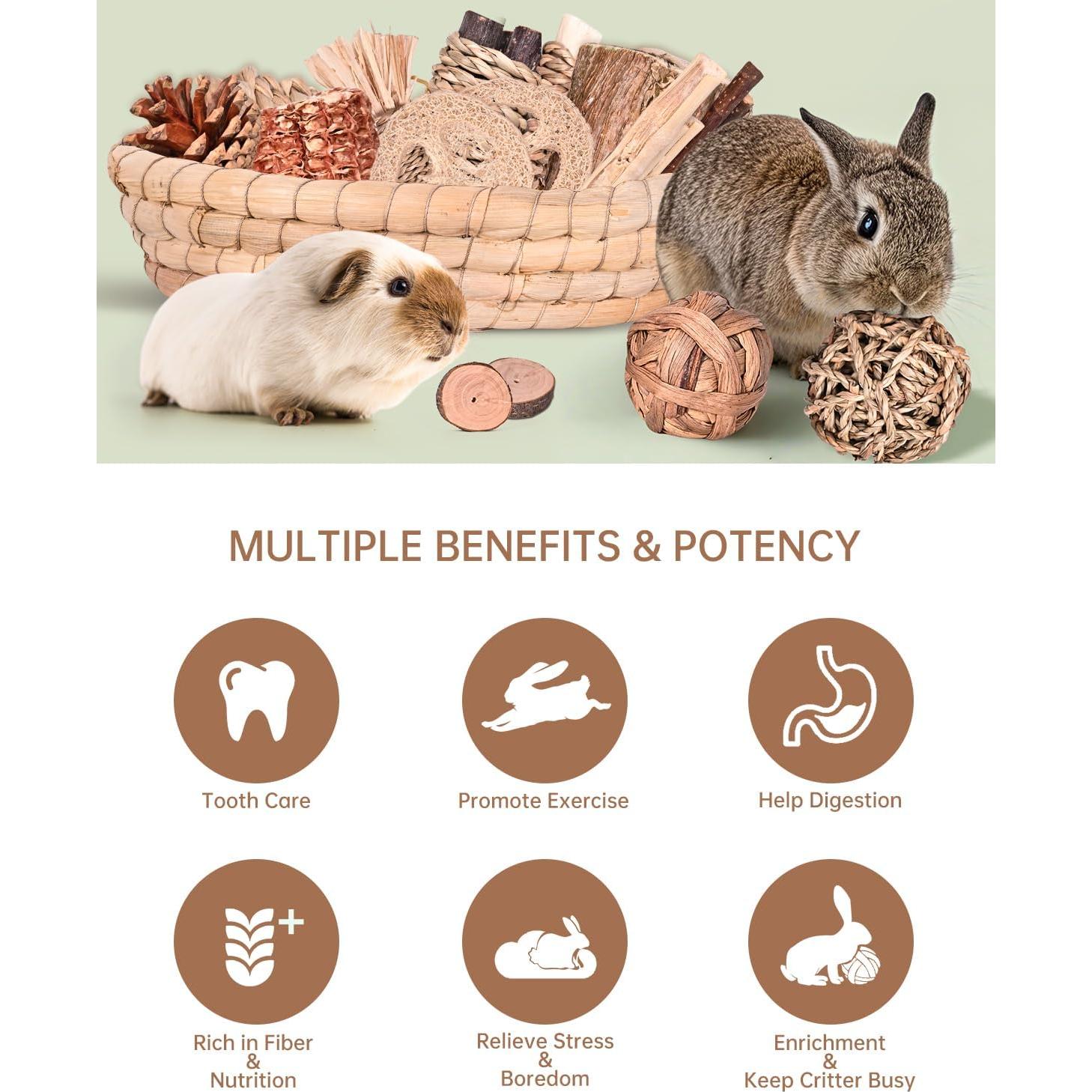 31 Juguetes Masticables Naturales para Conejos y Roedores