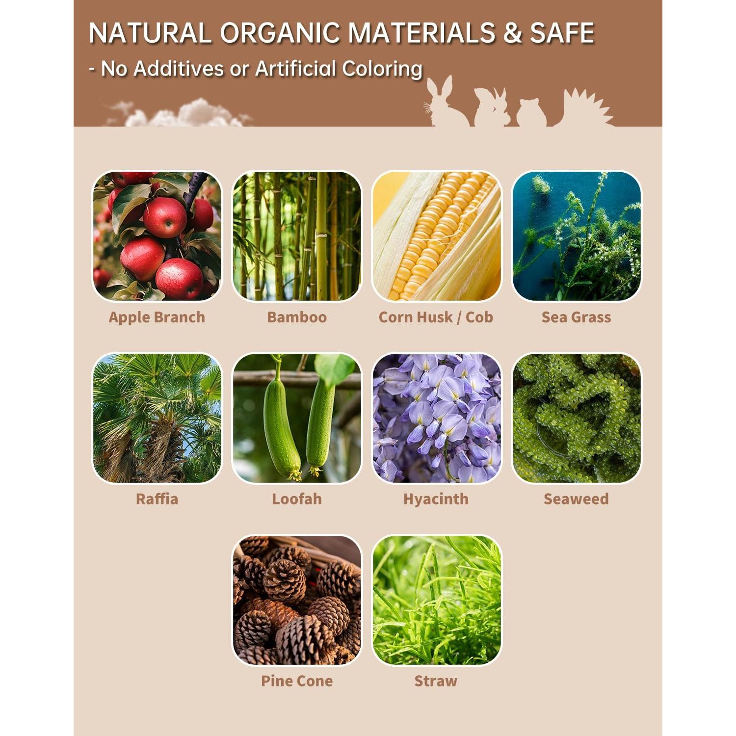 31 Juguetes Masticables Naturales para Conejos y Roedores