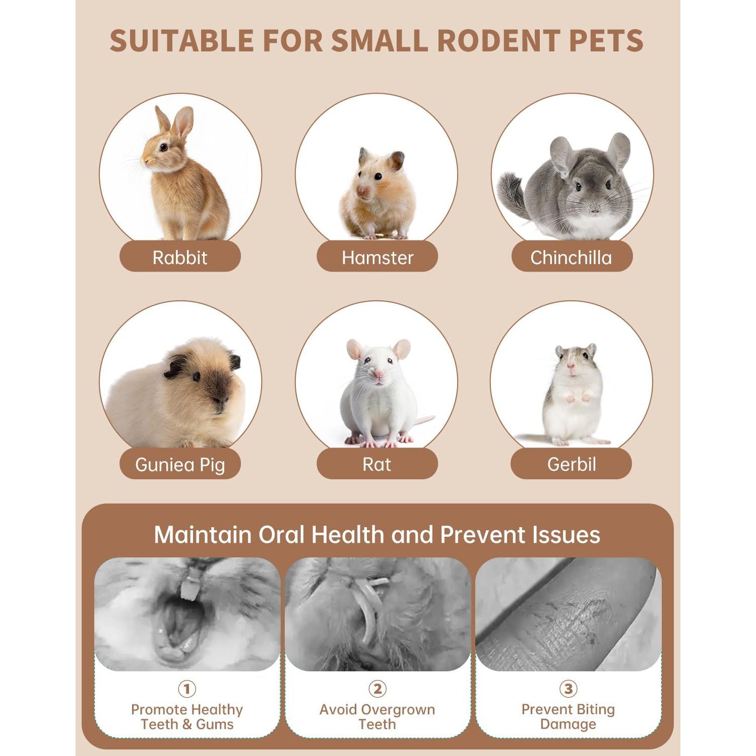 31 Juguetes Masticables Naturales para Conejos y Roedores