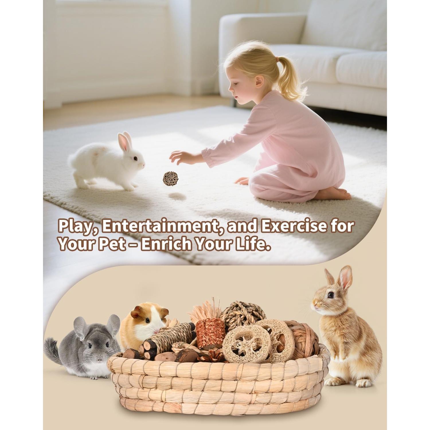 31 Juguetes Masticables Naturales para Conejos y Roedores