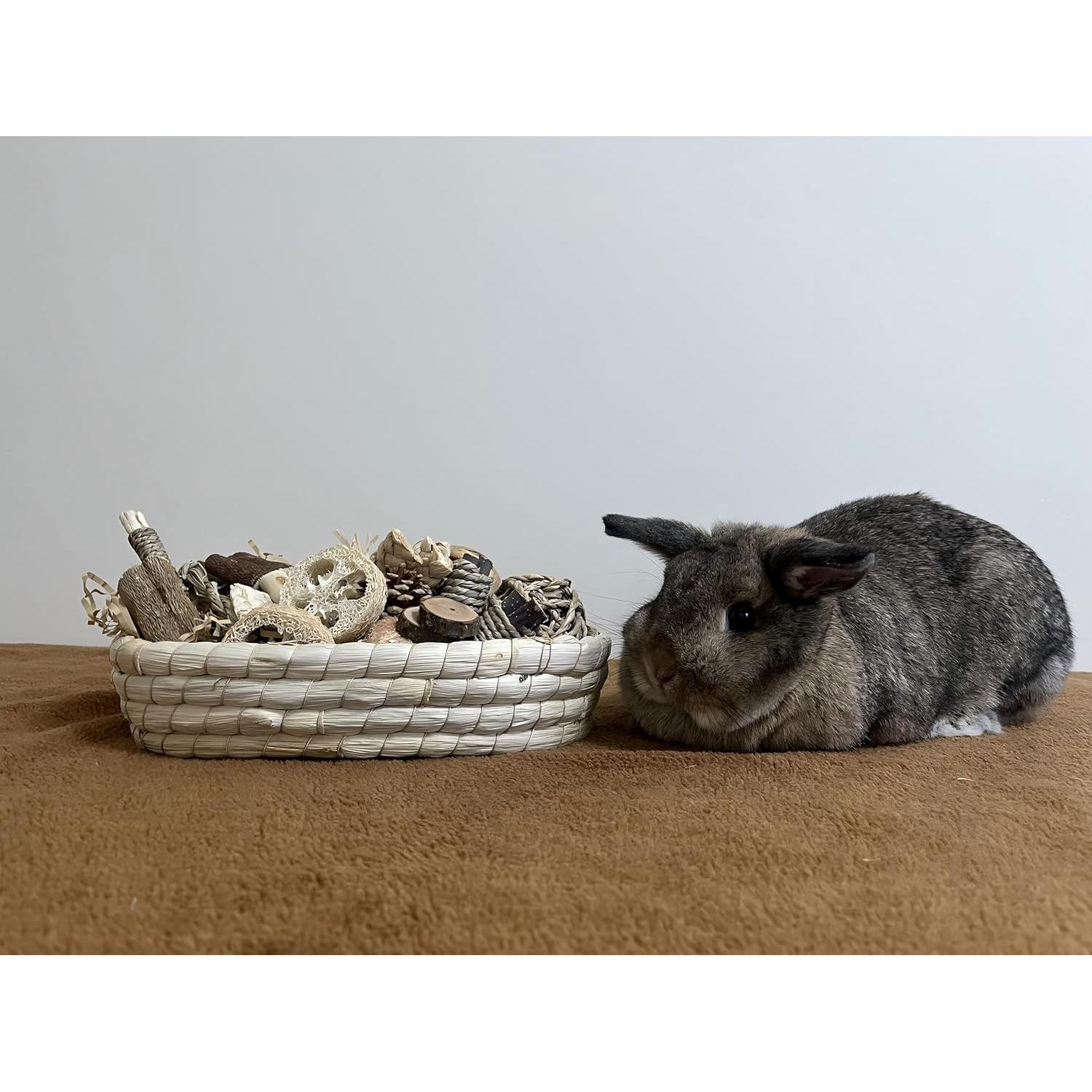 31 Juguetes Masticables Naturales para Conejos y Roedores