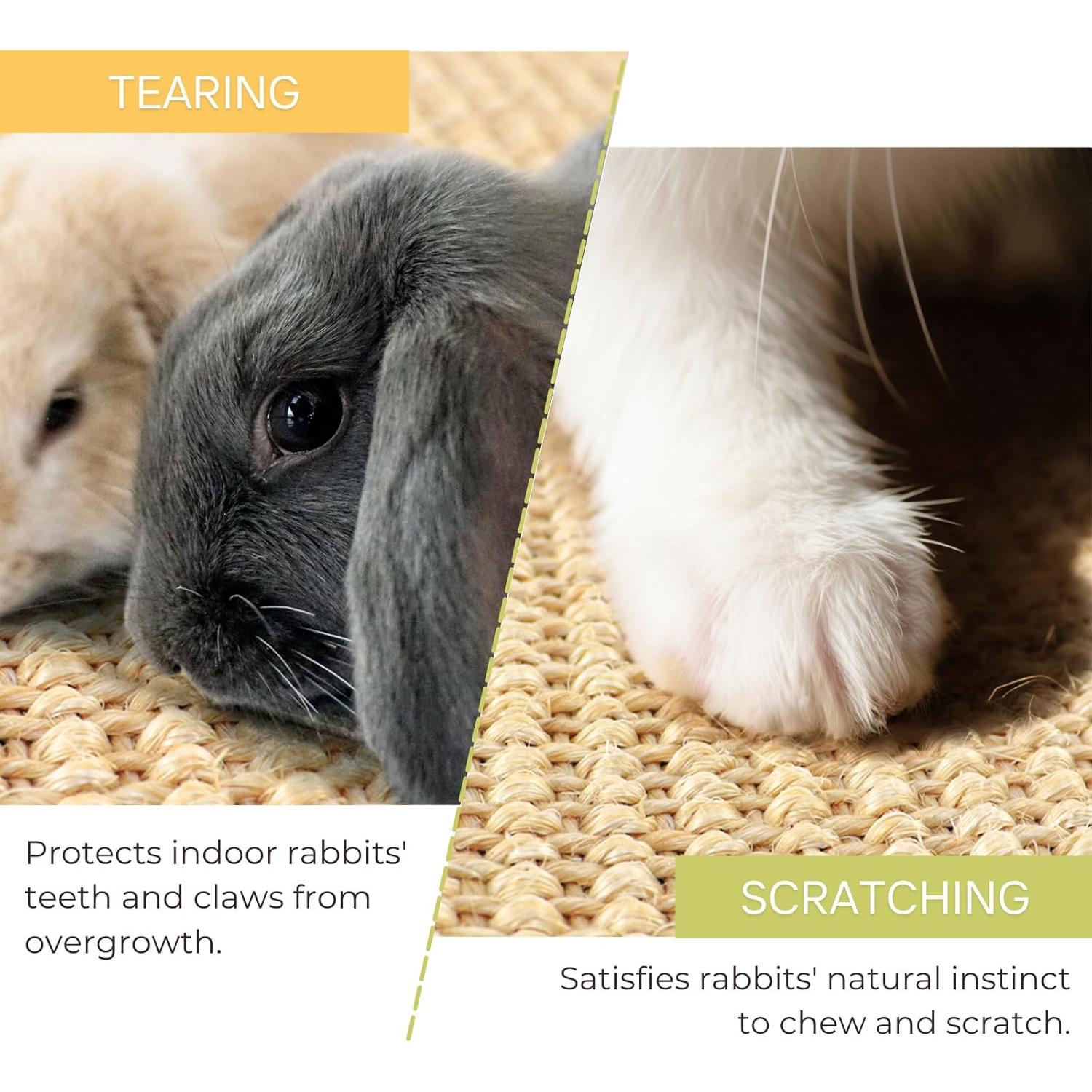 Paquete de 3 Alfombrillas de Sisal Natural Tierecare 39.9x30 cm