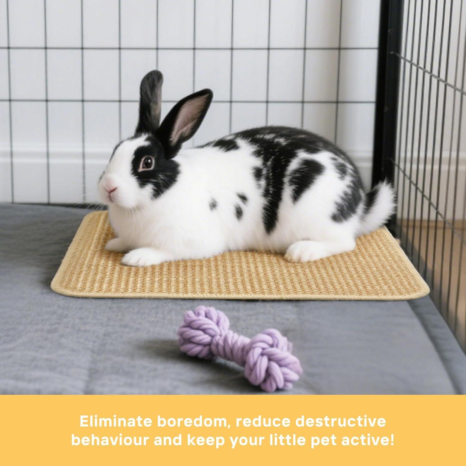 Paquete de 3 Alfombrillas de Sisal Natural Tierecare 39.9x30 cm