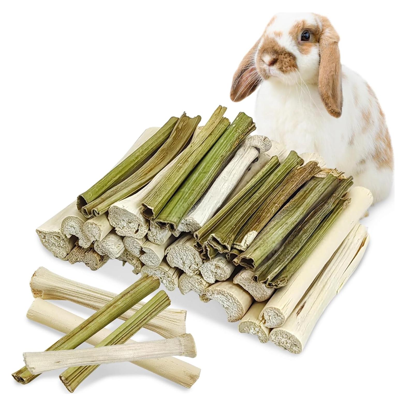 Palitos de Masticar para Conejos Tfwadmx - 50 Pcs Naturales