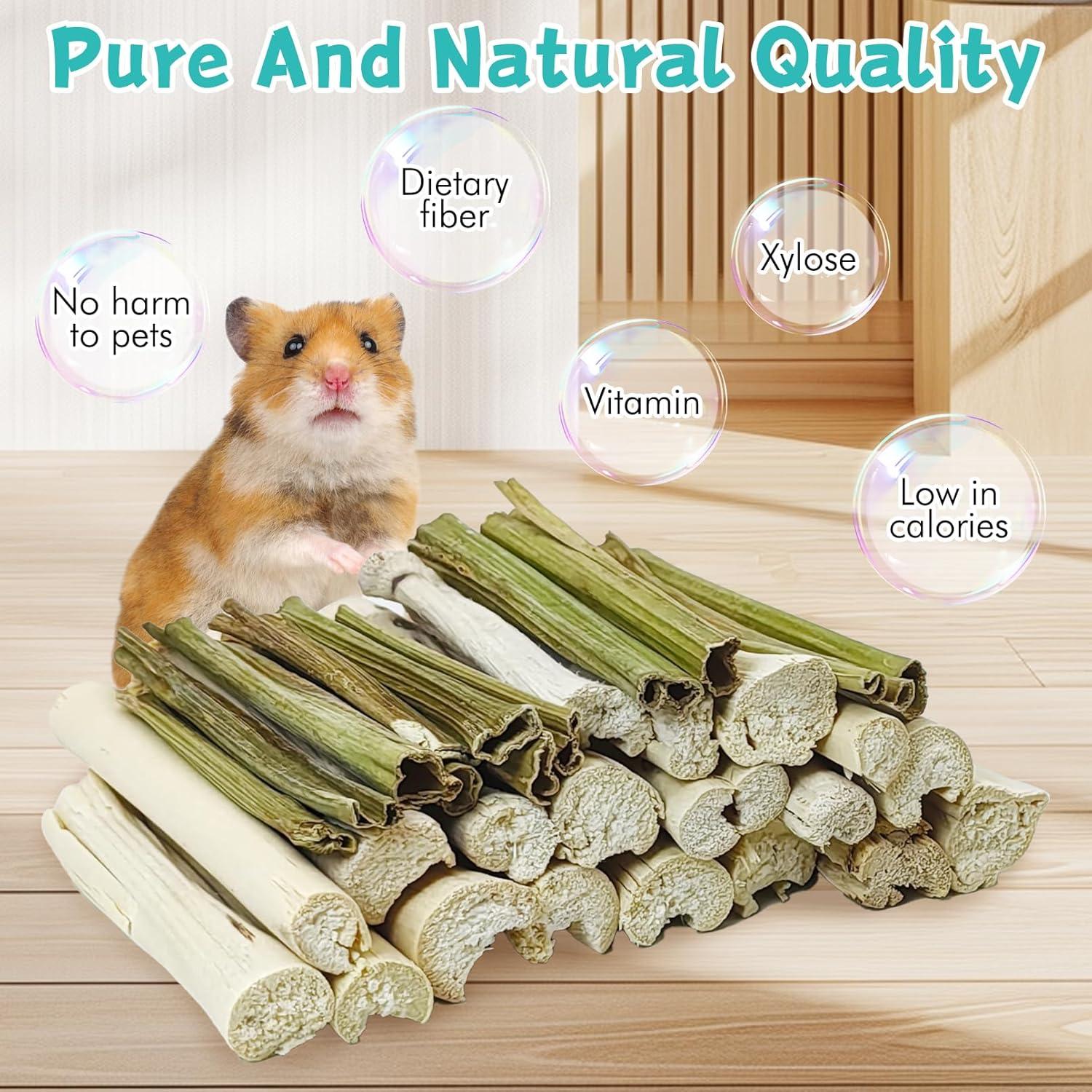 Palitos de Masticar para Conejos Tfwadmx - 50 Pcs Naturales