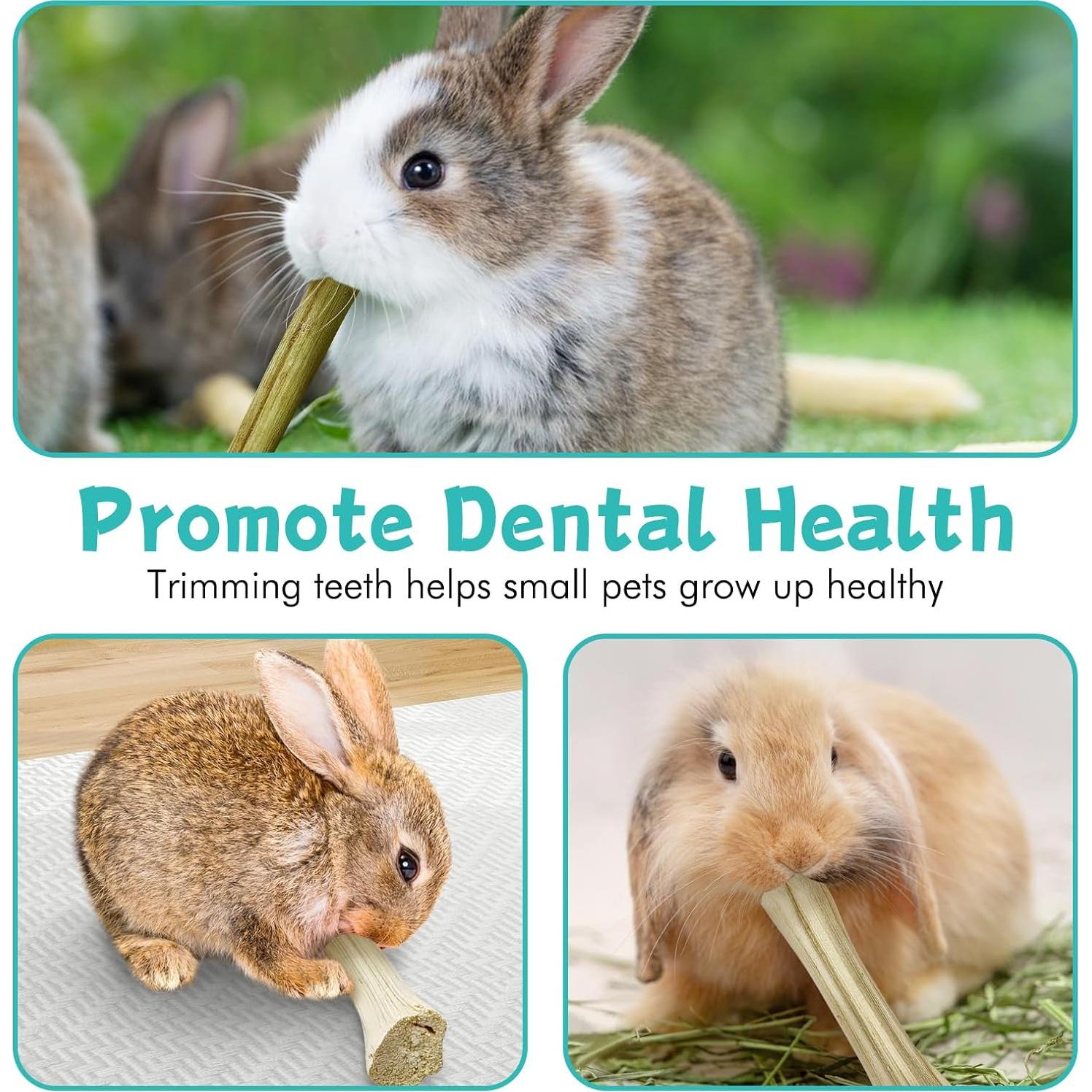 Palitos de Masticar para Conejos Tfwadmx - 50 Pcs Naturales
