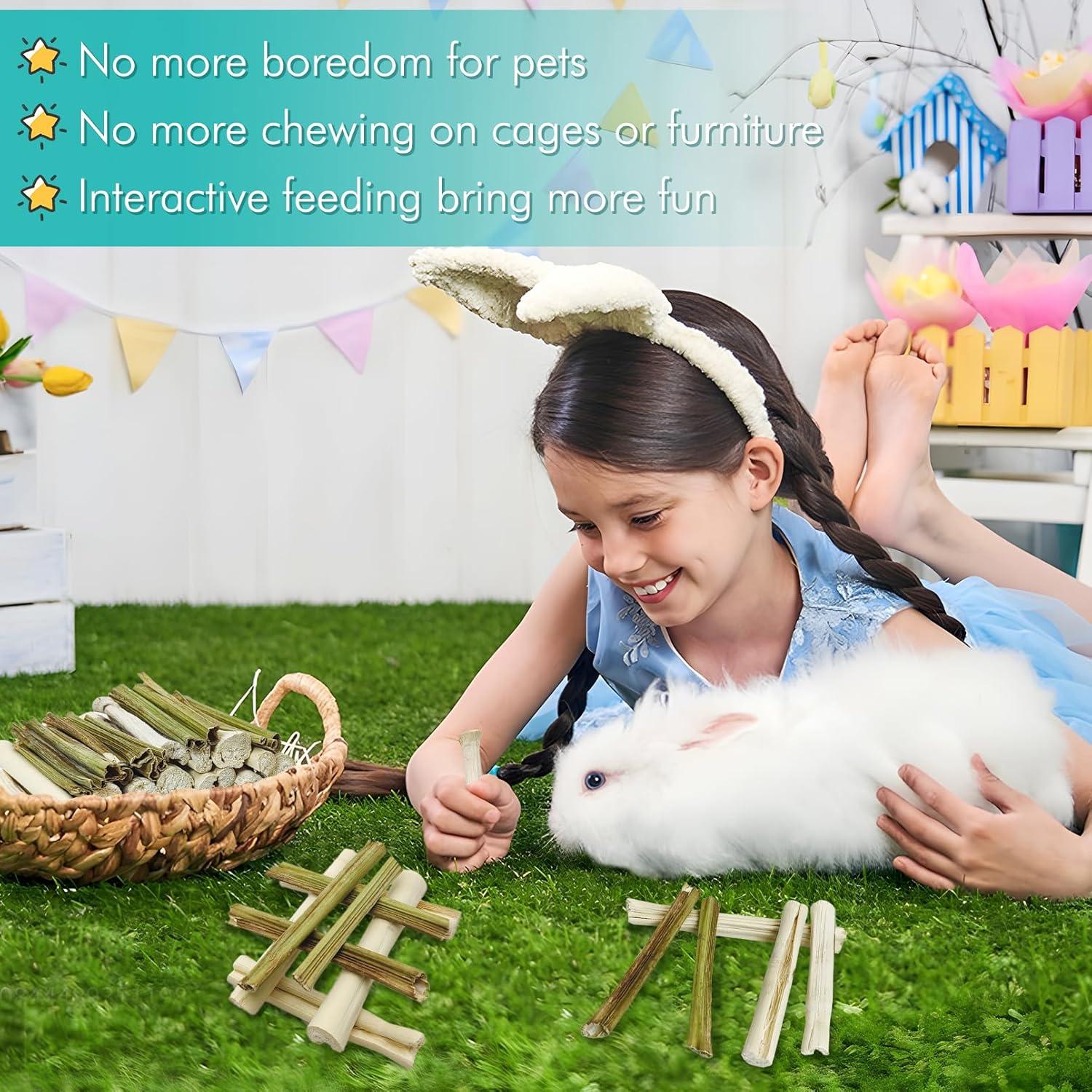 Palitos de Masticar para Conejos Tfwadmx - 50 Pcs Naturales