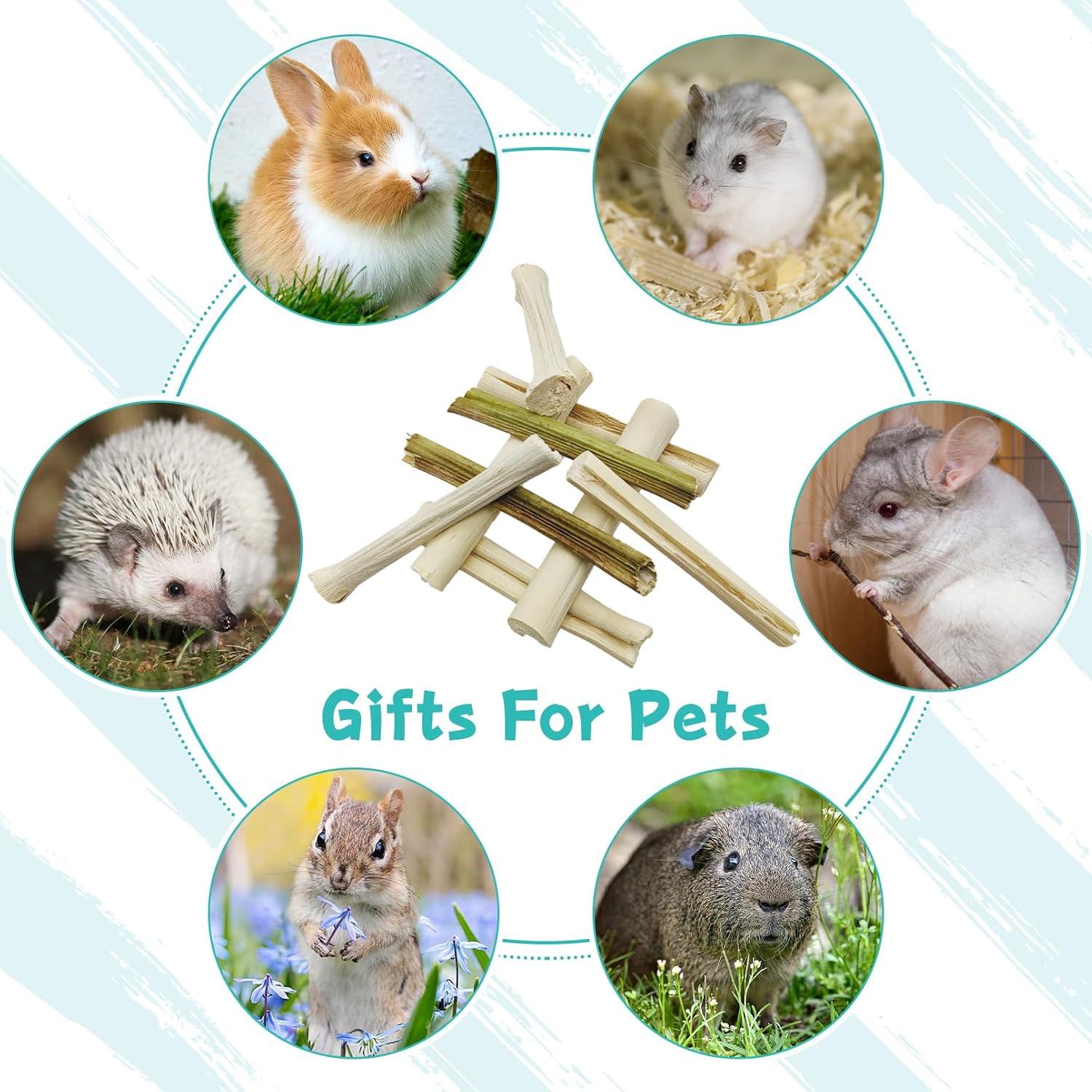 Palitos de Masticar para Conejos Tfwadmx - 50 Pcs Naturales