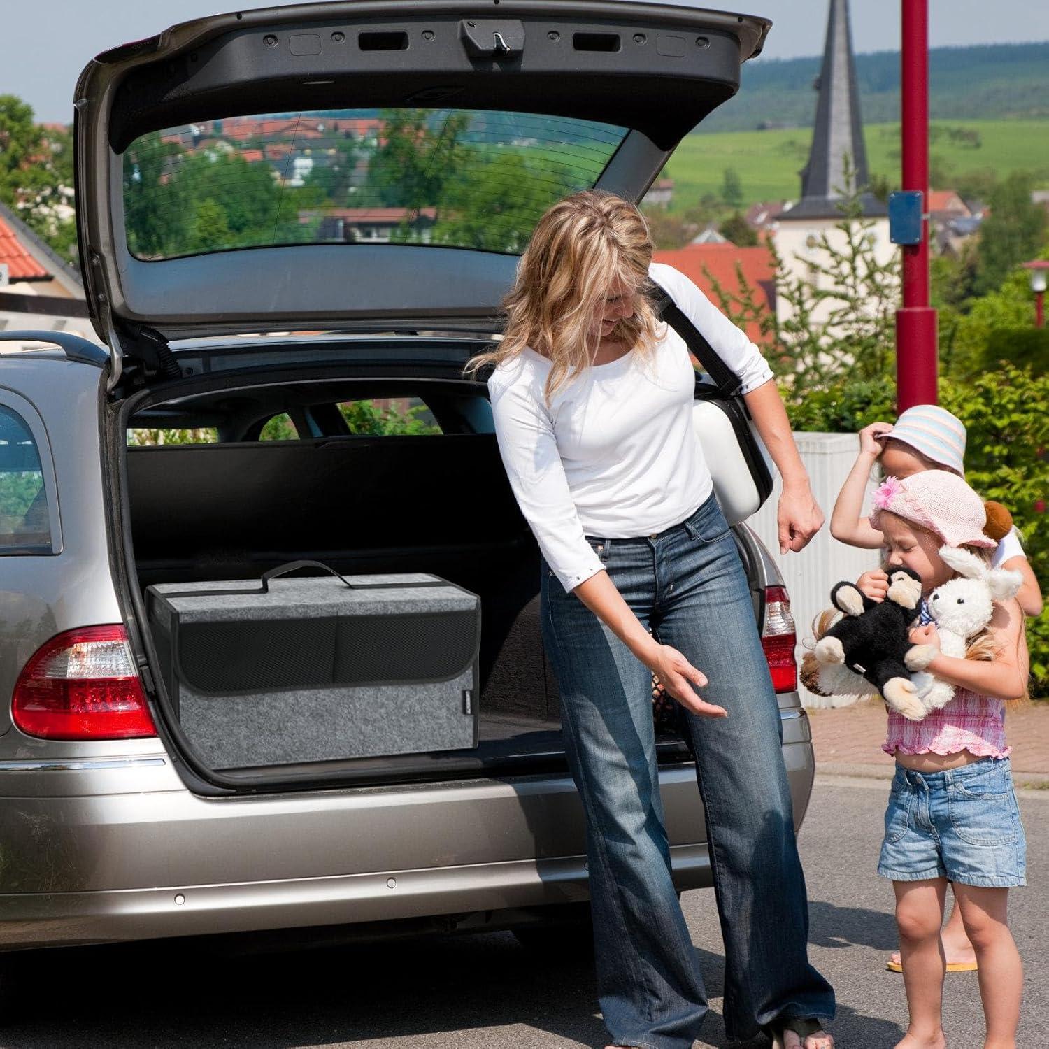 Organizador de Maletero de Coche OEMASSIVE Plegable 50.8x25.4 cm Gris