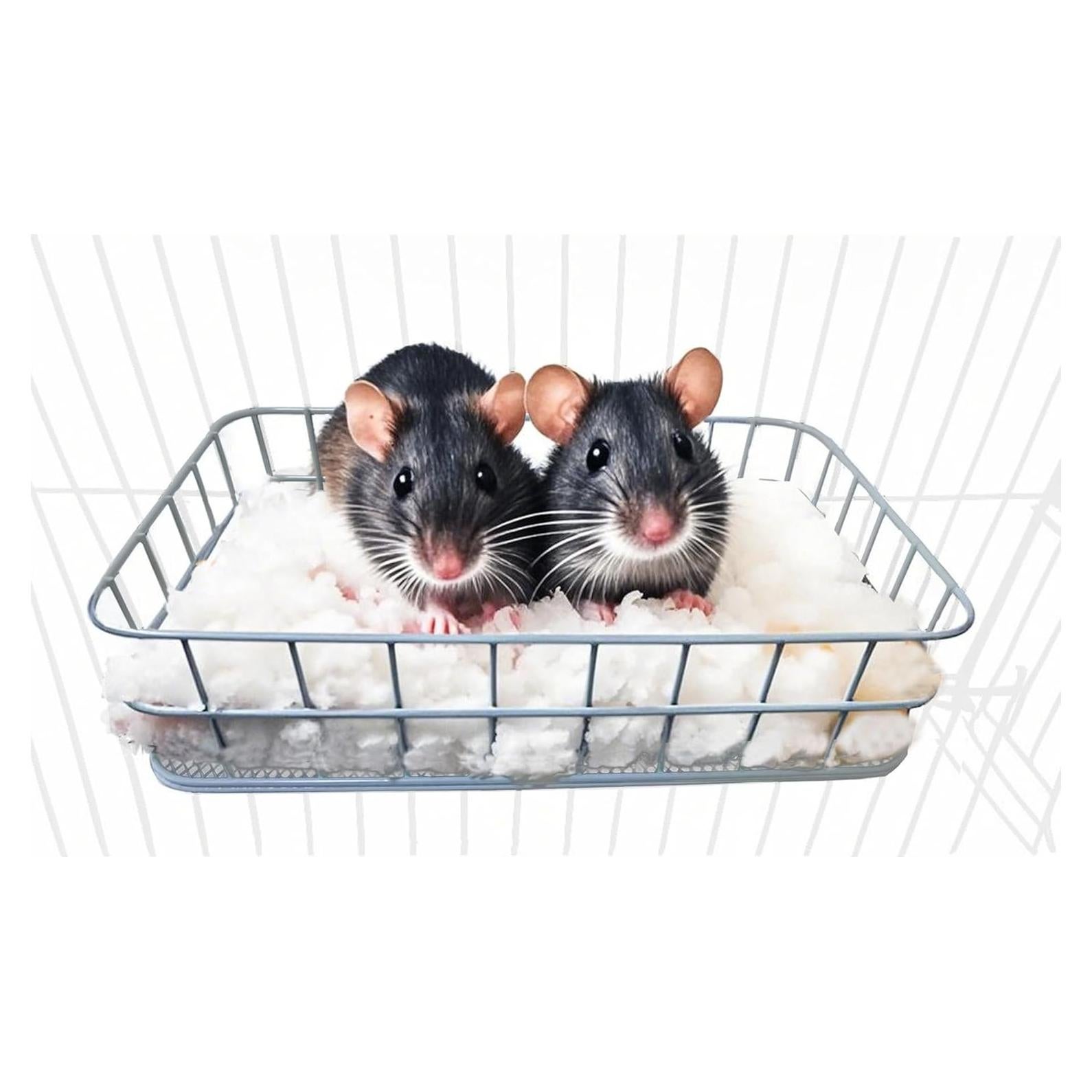 Plataforma de Jaula para Pequeños Animales JSLZF - Azul 24.89x16 cm