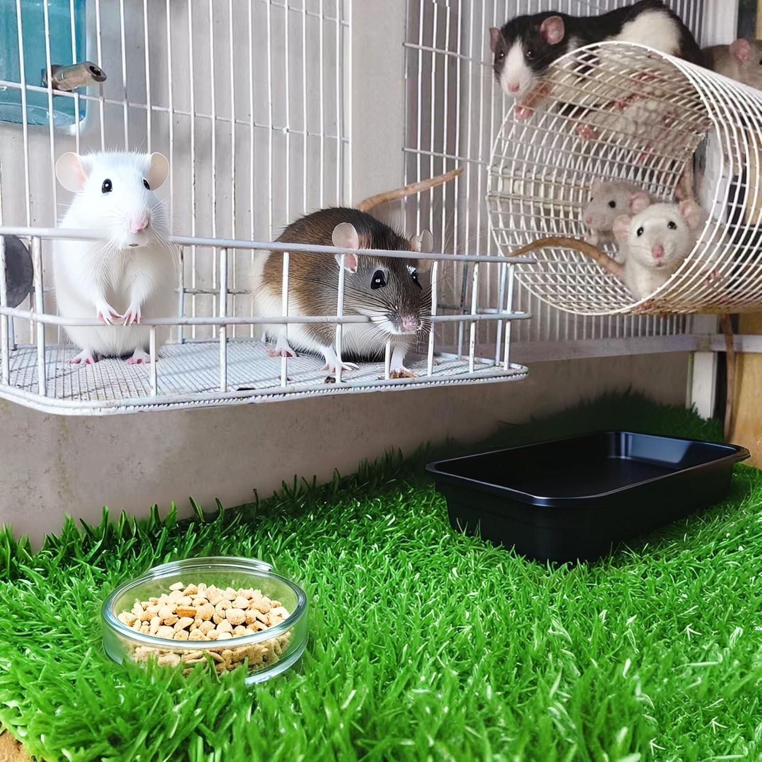 Plataforma de Jaula para Pequeños Animales JSLZF - Azul 24.89x16 cm