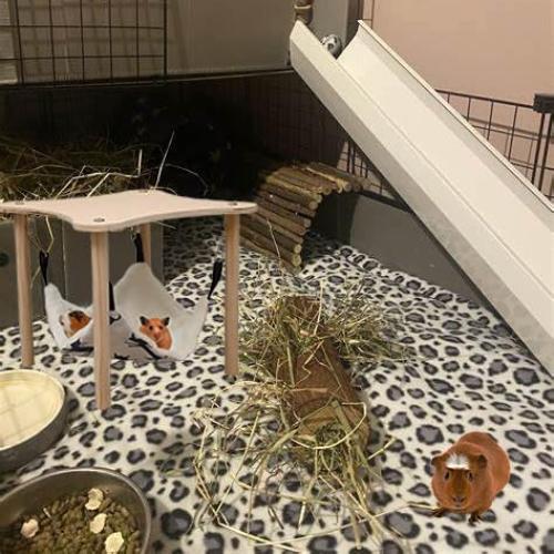 Hamaca para Cobayas Cdipesp con Soporte de Madera 28x28cm