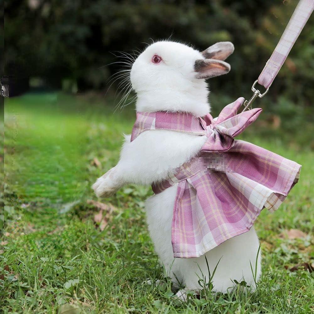 Arnés y correa para conejos Barn Eleven - Chaleco rosa X-Pequeño