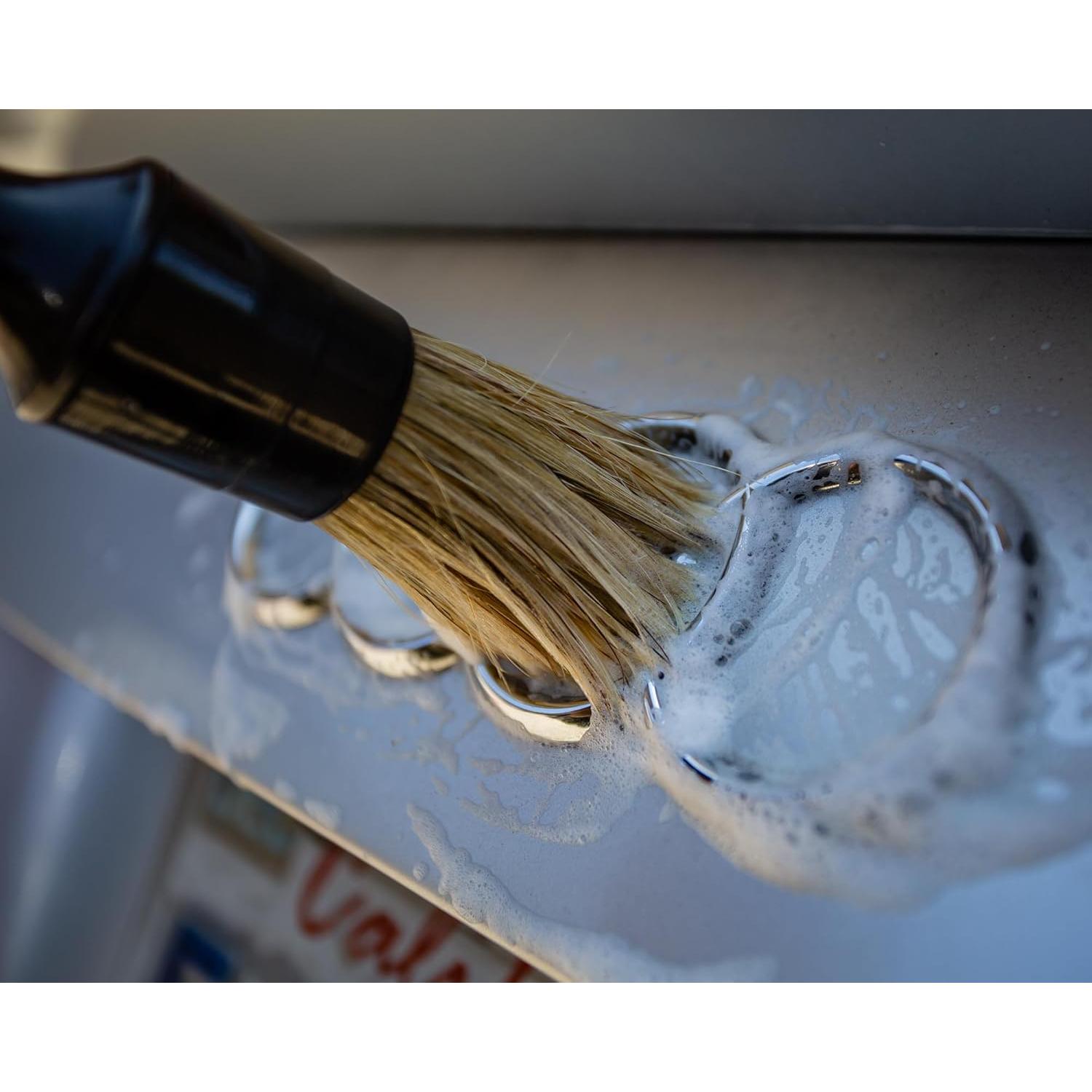 Juego de Cepillos para Detallar Autos Detail Armory 6 Piezas