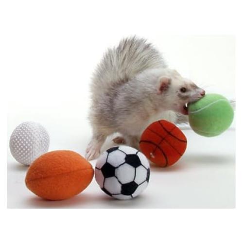 Pelotas Deportivas Marshall Ferret - Paquete de 2 Surtidas