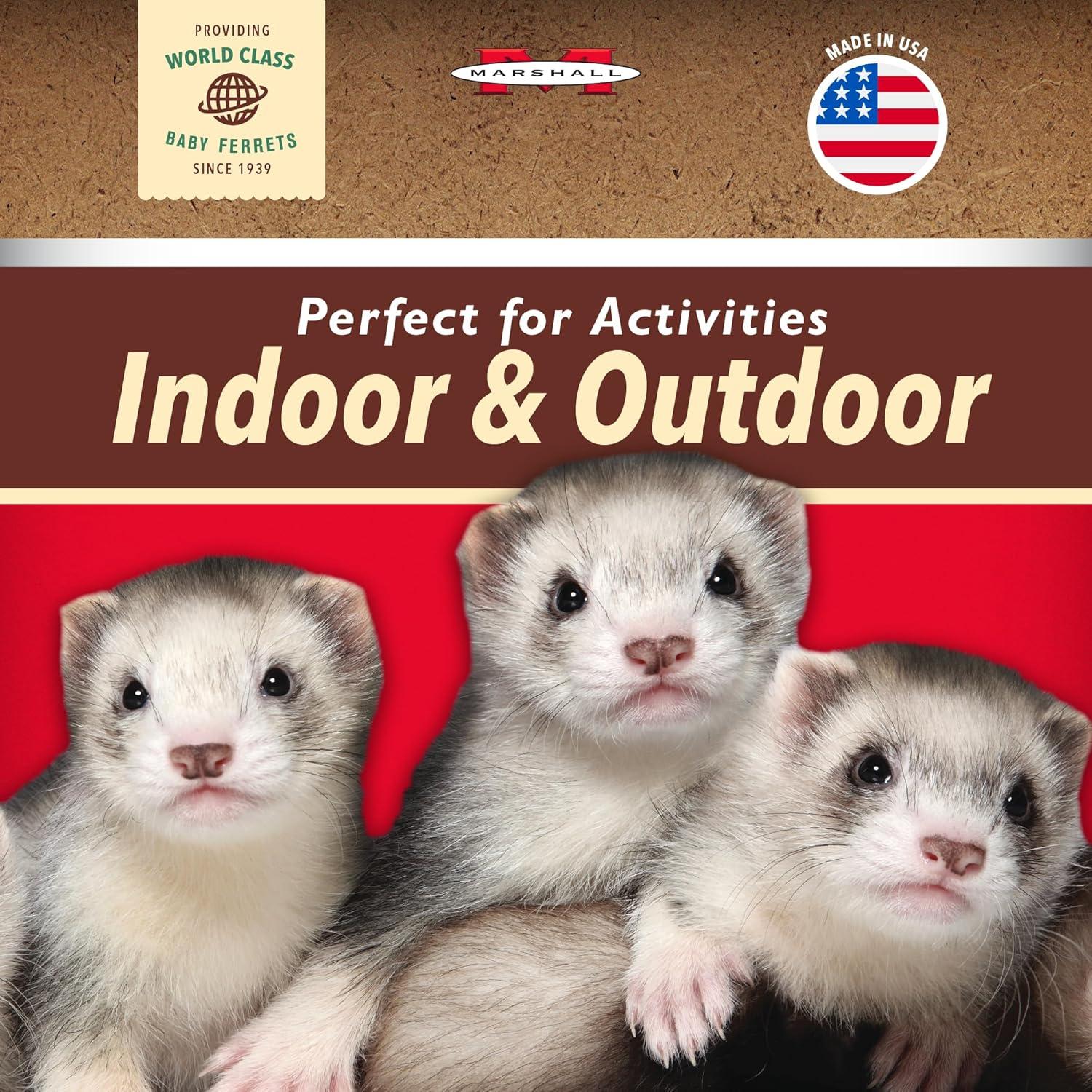 Collar de Campana Marshall para Hurones - Púrpura