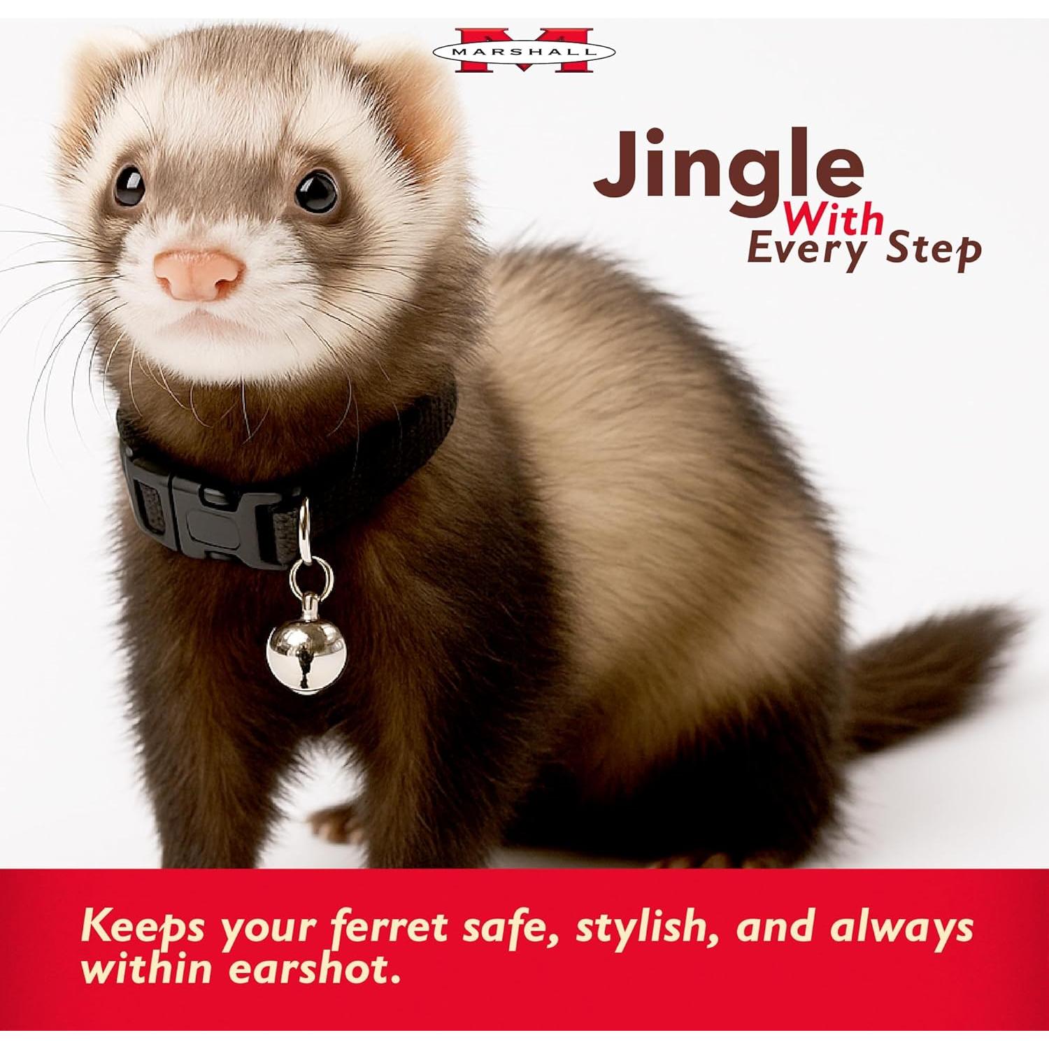 Collar de Campana Marshall para Hurones - Púrpura