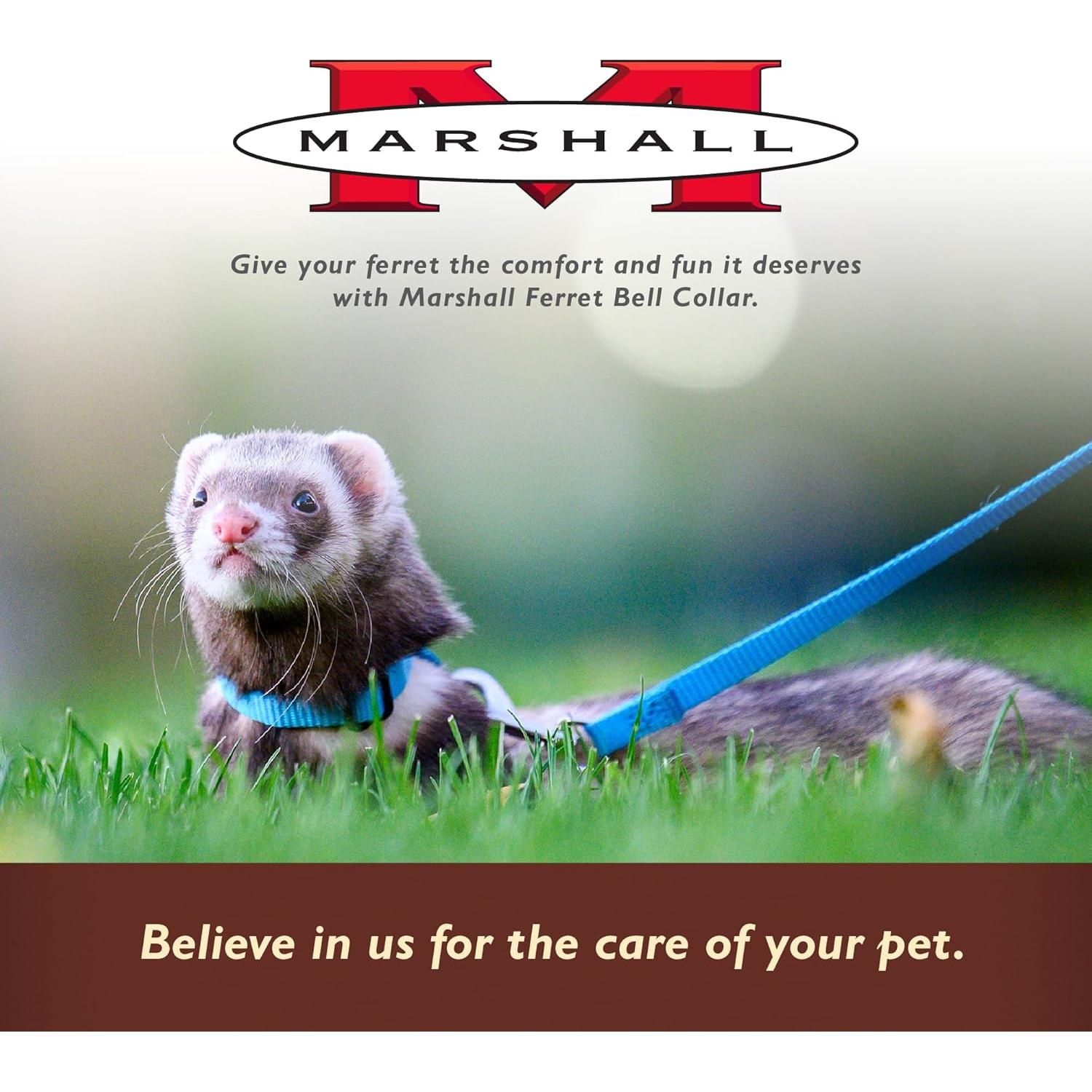 Collar de Campana Marshall para Hurones - Púrpura