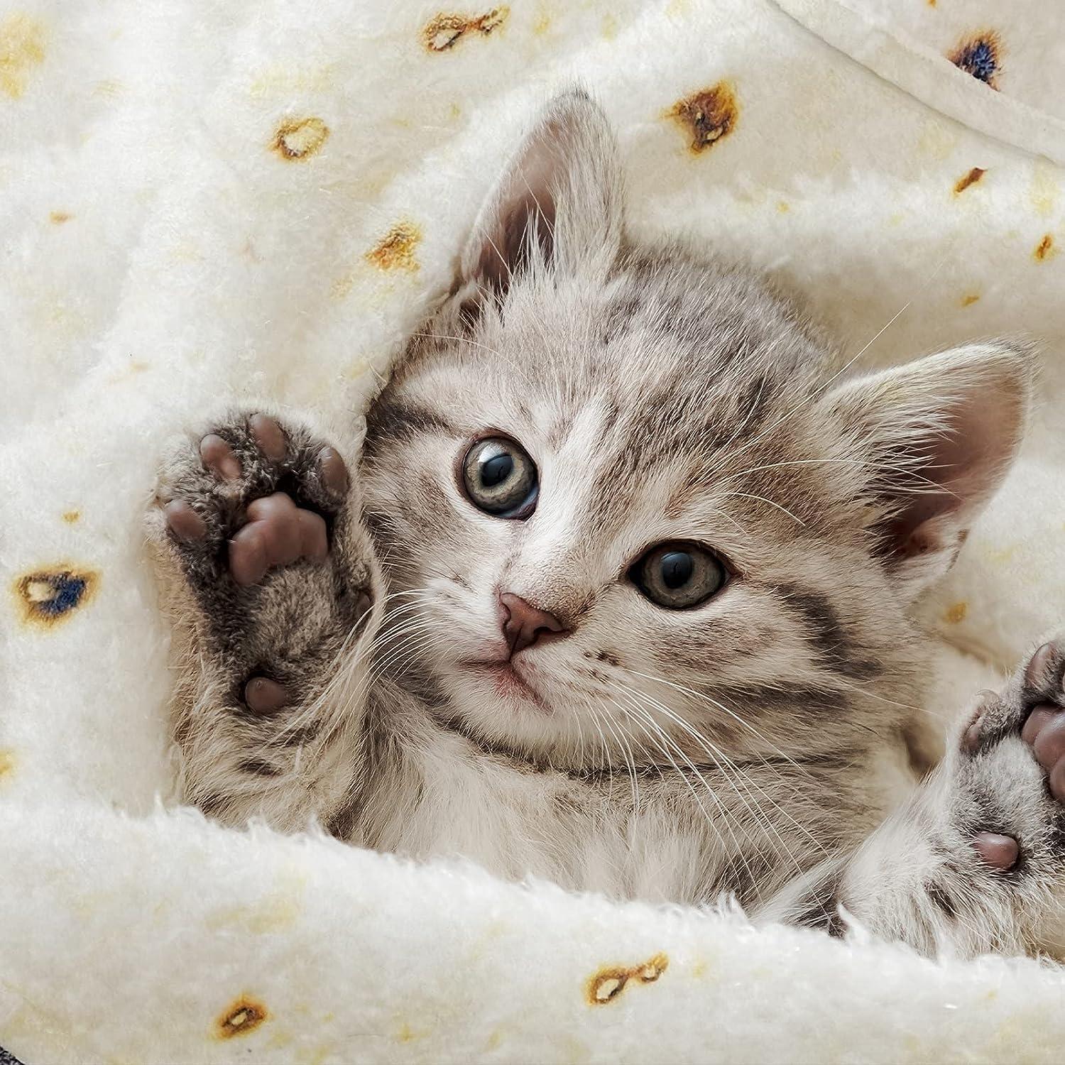 Manta Tortilla Lhedon 91x91 cm Franela Suave para Bebés