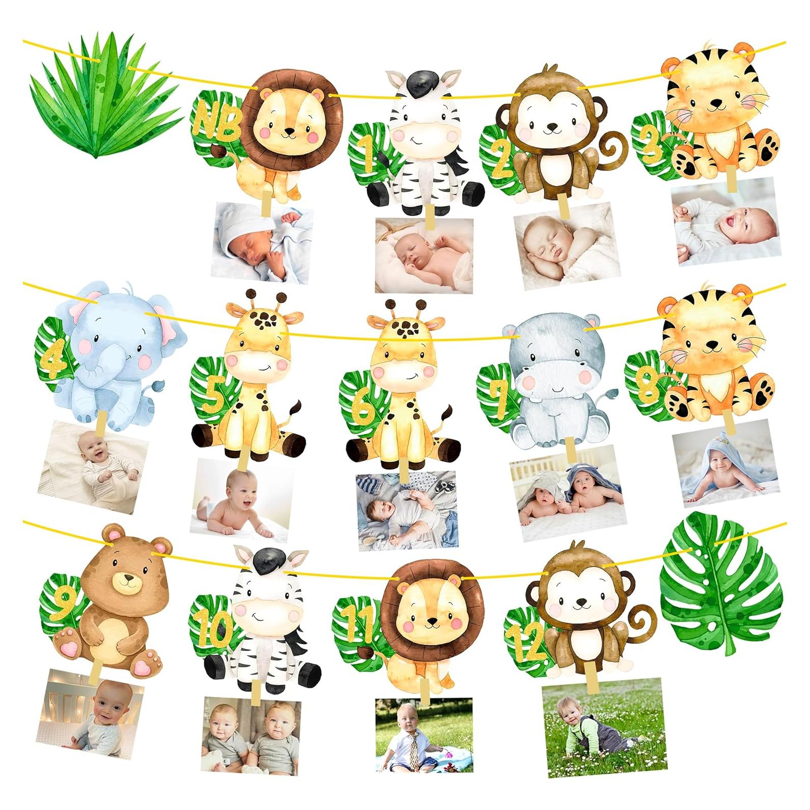 Banderín de Fotos Primer Cumpleaños Safari iPartyFun - 15 Tarjetas