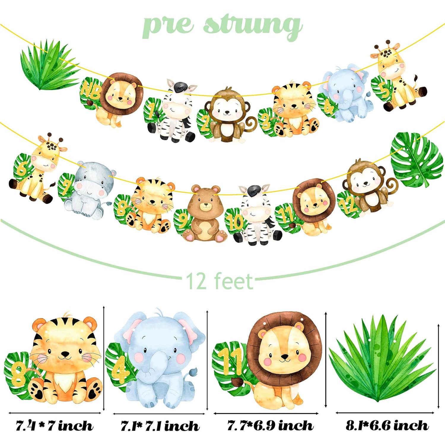 Banderín de Fotos Primer Cumpleaños Safari iPartyFun - 15 Tarjetas