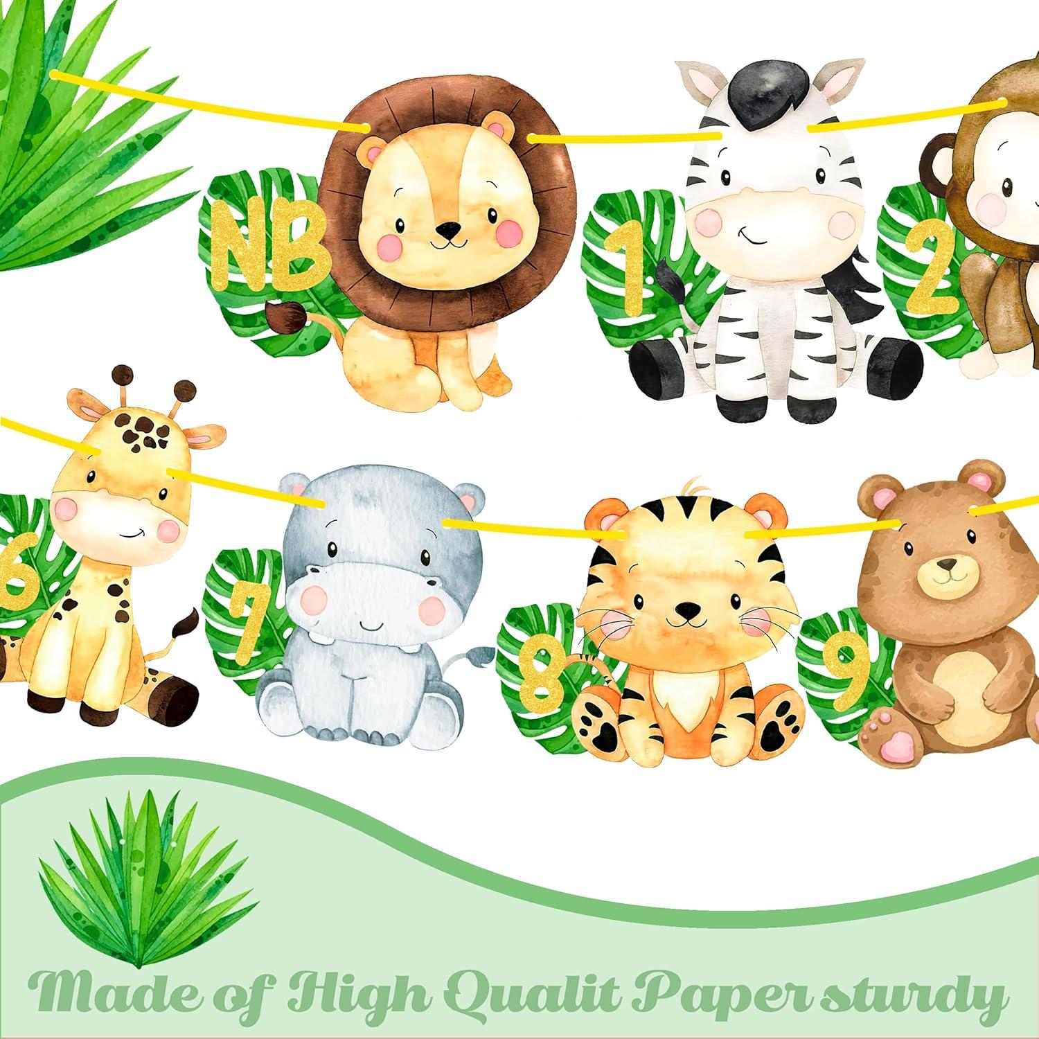 Banderín de Fotos Primer Cumpleaños Safari iPartyFun - 15 Tarjetas