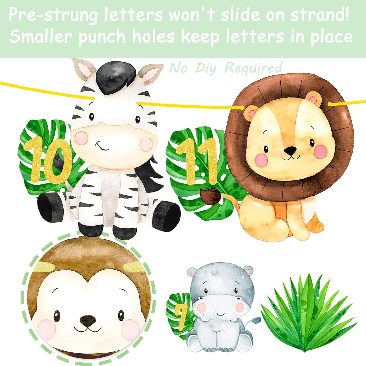 Banderín de Fotos Primer Cumpleaños Safari iPartyFun - 15 Tarjetas