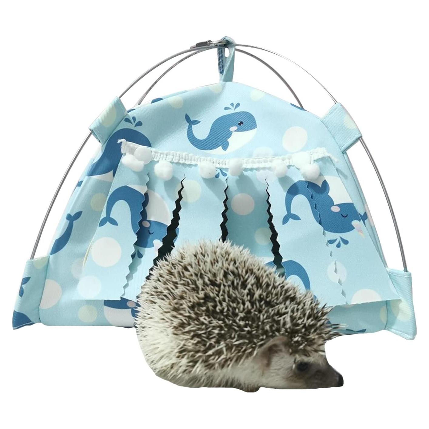 Refugio para Cobaya MuYaoPet Azul 23.9x23.9cm Impermeable