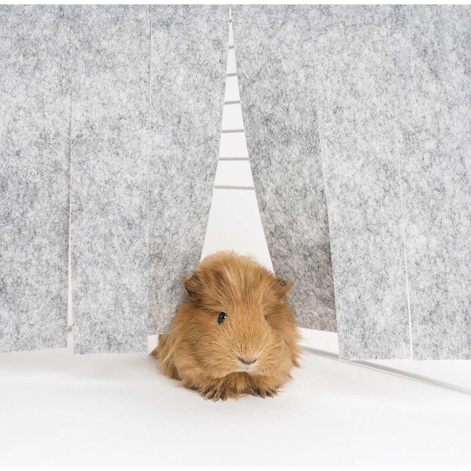 Cortina de Forro Niteangel para Mascotas Pequeñas - Gris